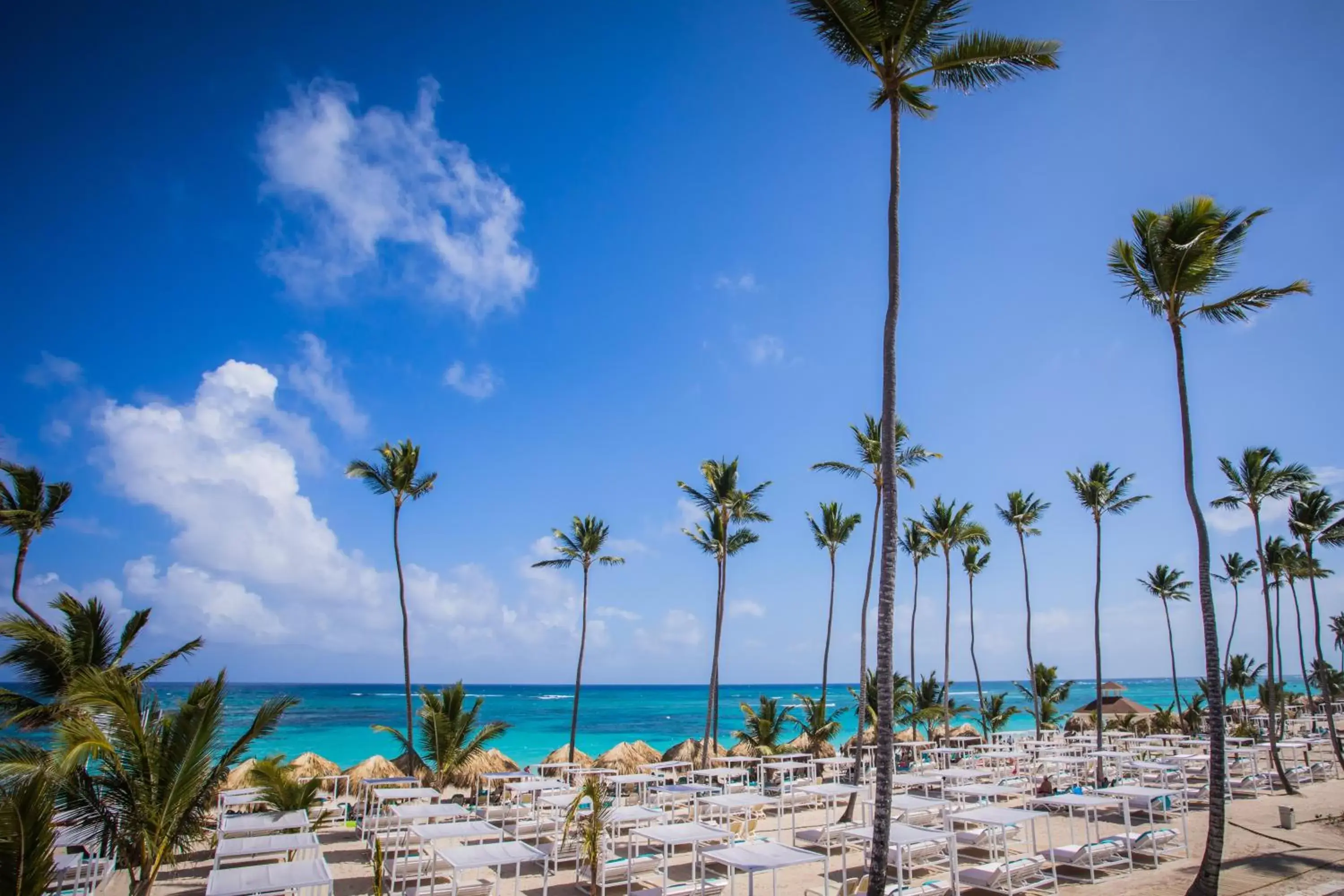 Beach in Majestic Mirage Punta Cana, All Suites – All Inclusive