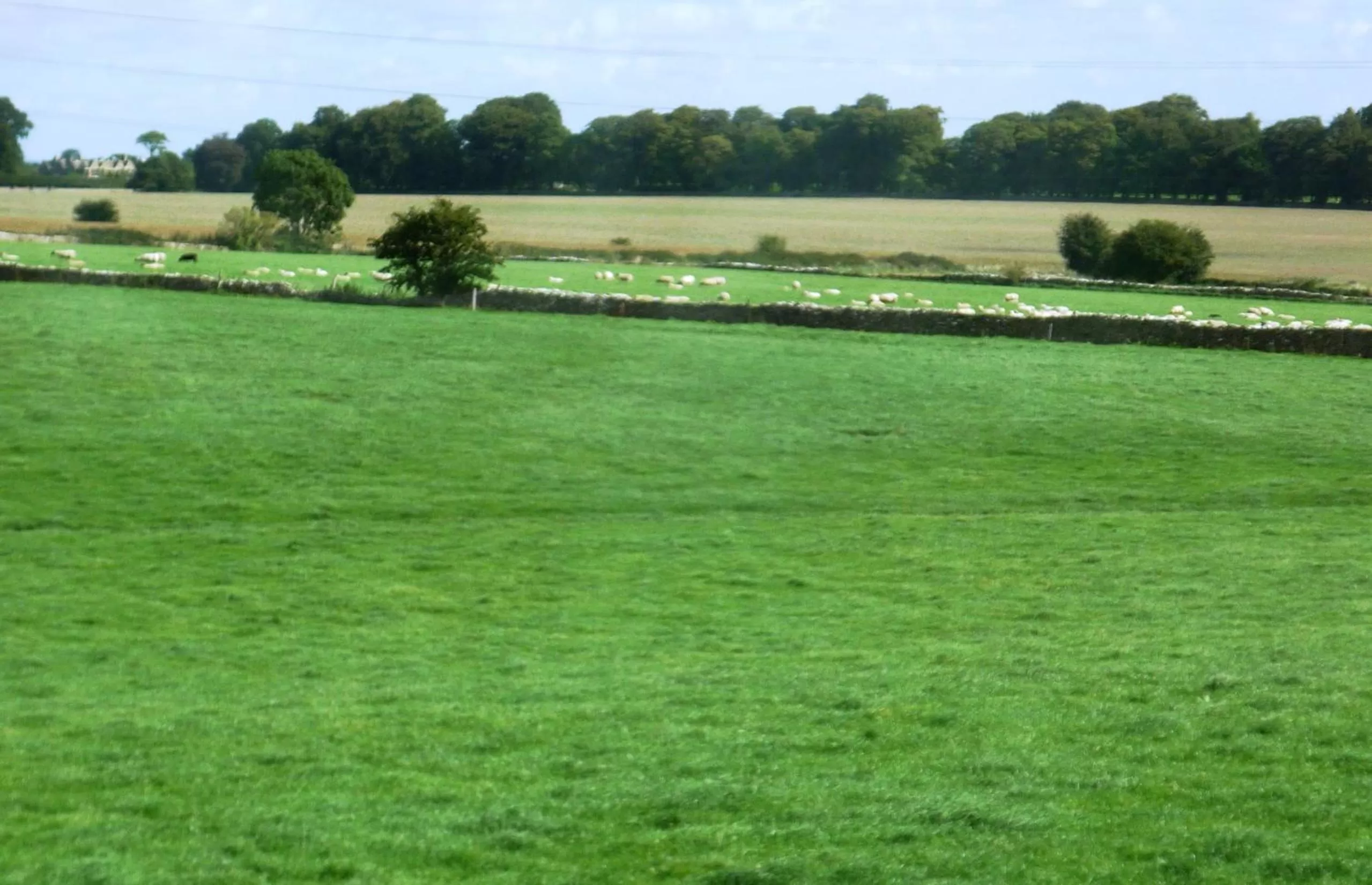 Property building in Windylands