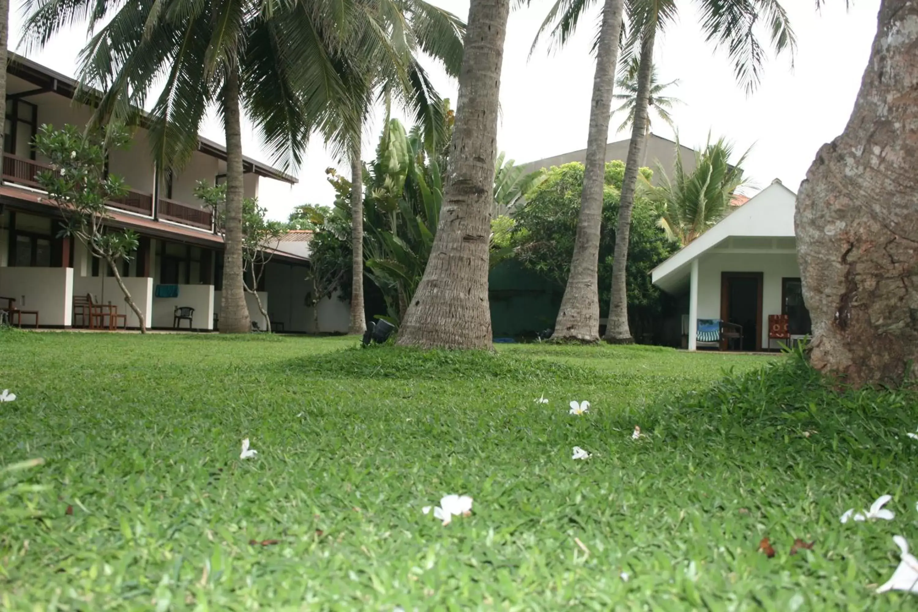 Garden, Property Building in Goldi Sands Hotel