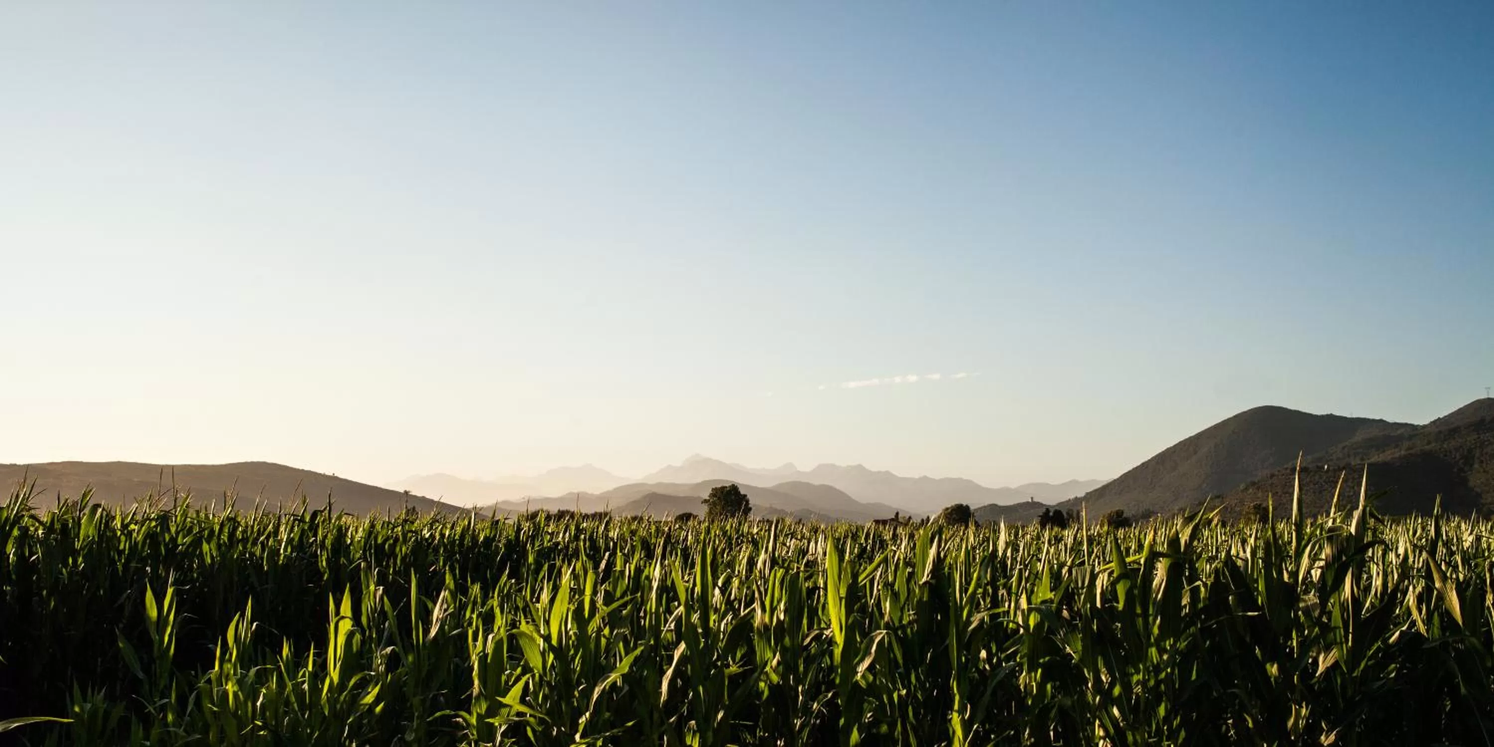 Mountain view in Cascina Canova