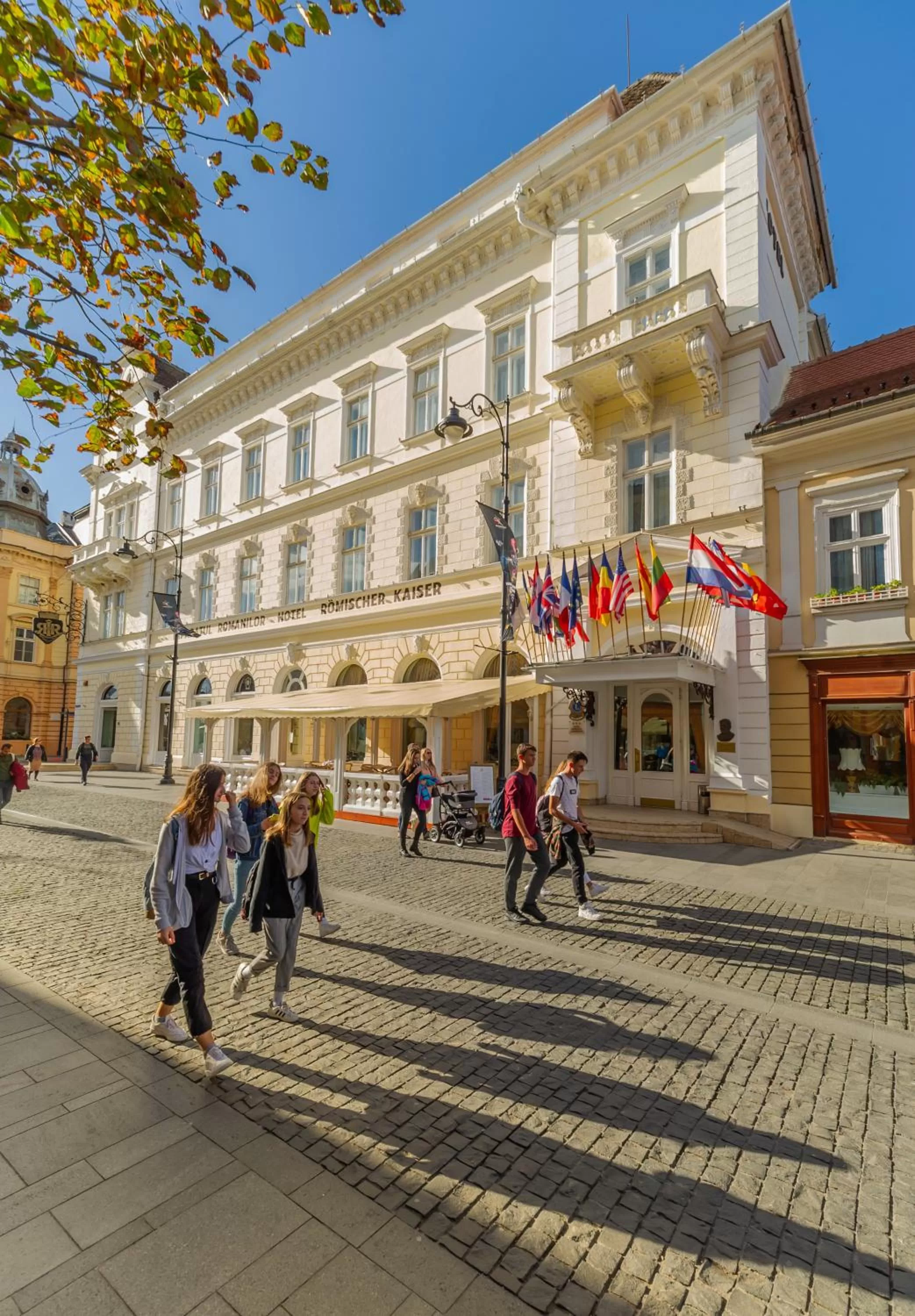 Restaurant/places to eat in Hotel Imparatul Romanilor Hotel & SPA