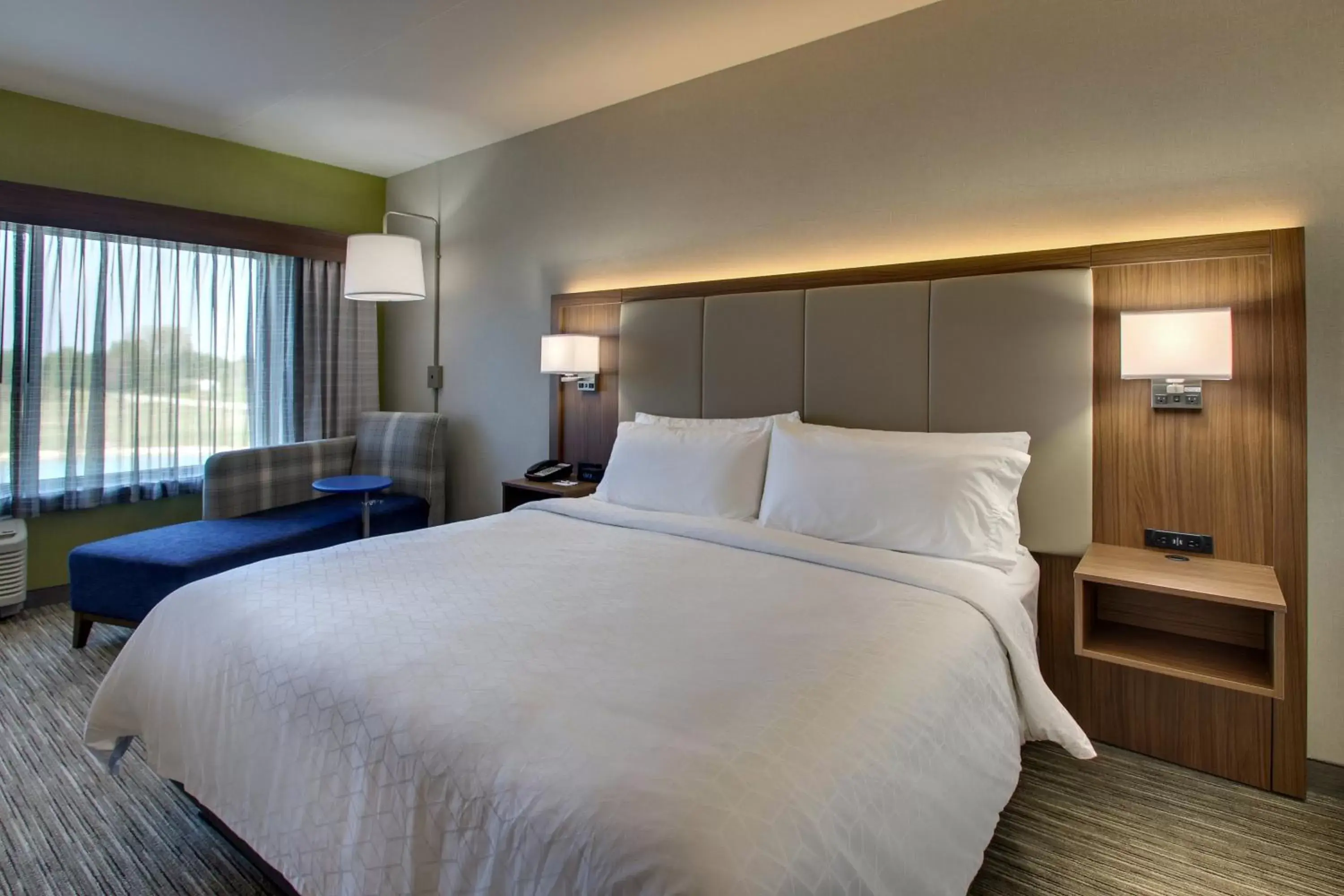 Photo of the whole room, Bed in Holiday Inn Express & Suites Troy, an IHG Hotel