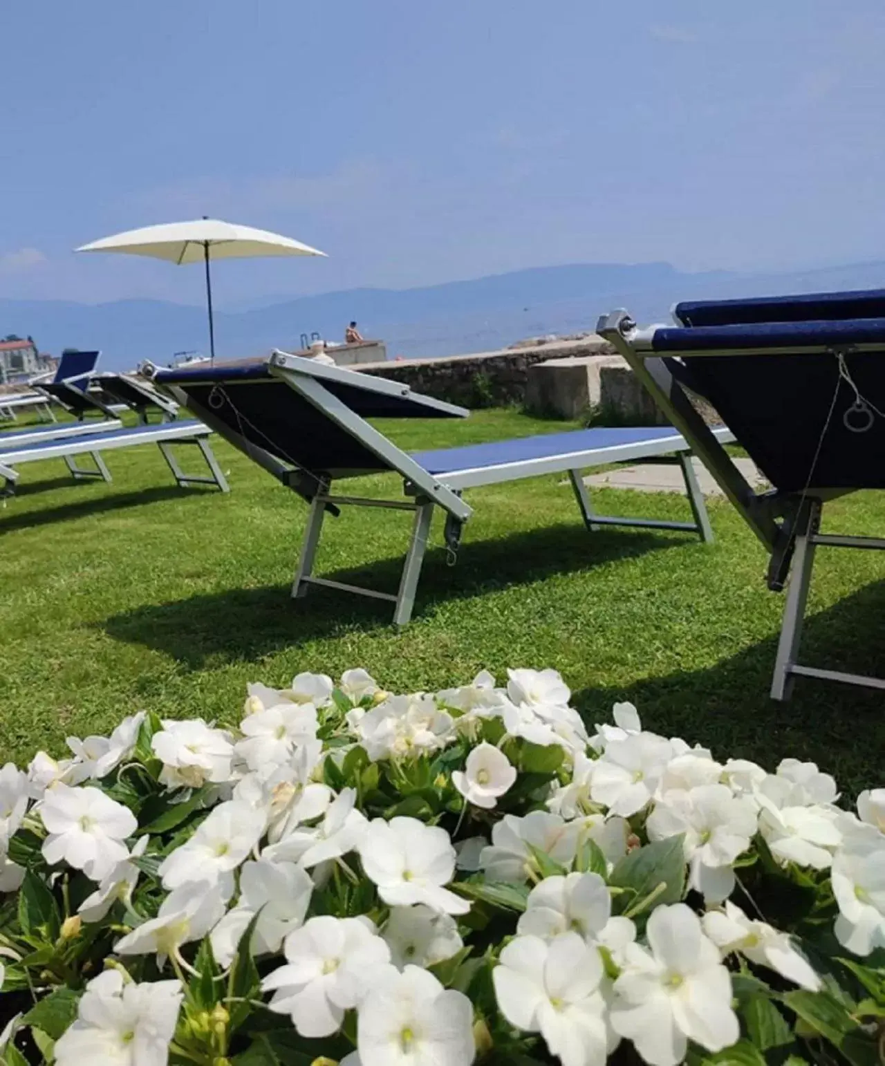 Natural landscape, Garden in Bike Hotel Touring Gardone Riviera & Private Wellness