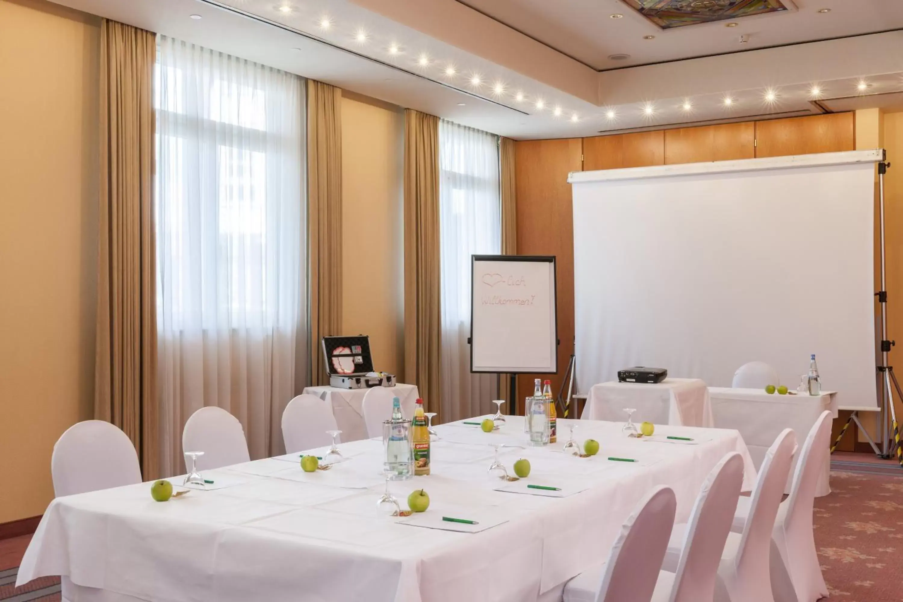 Business facilities in Wyndham Garden Donaueschingen