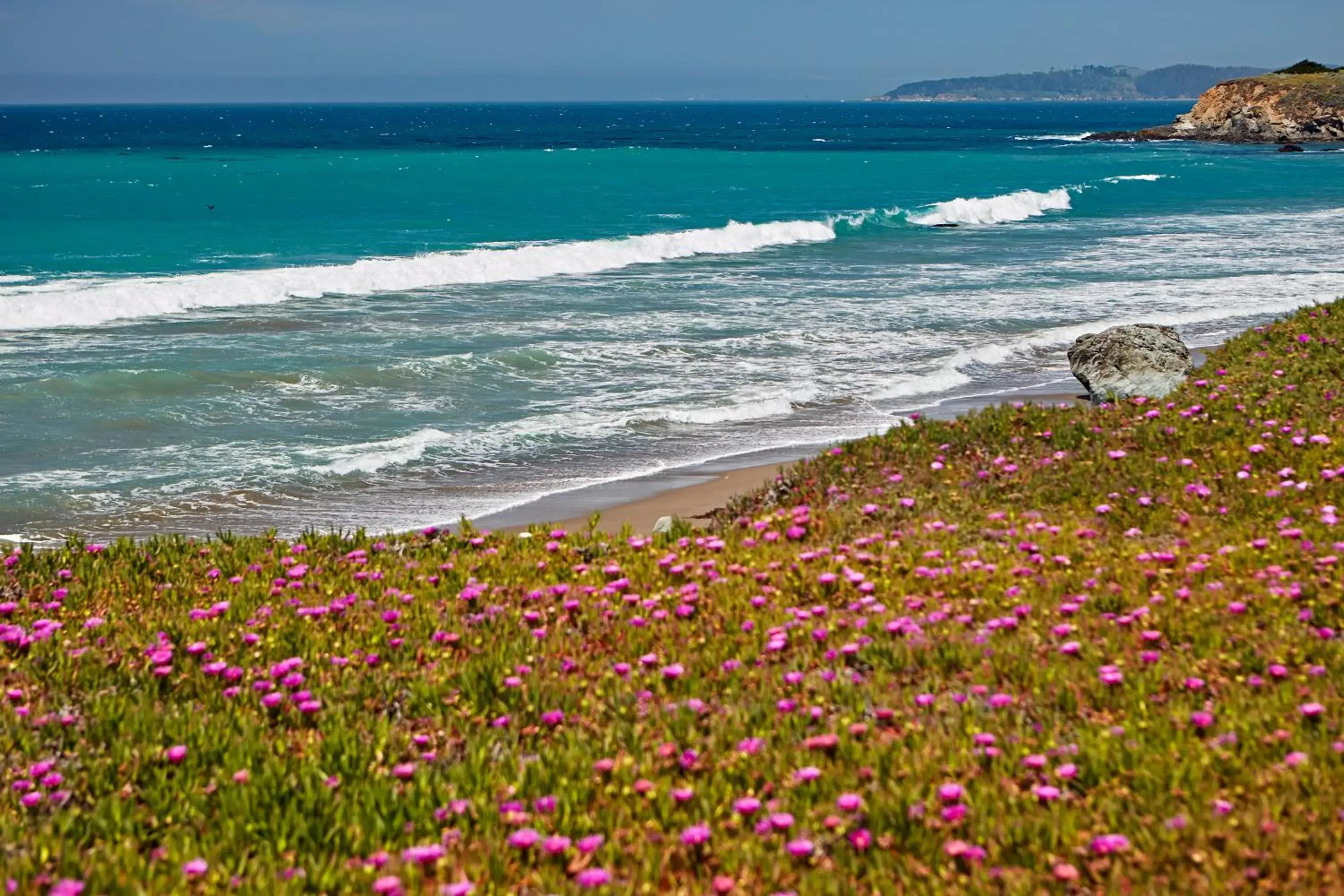 Natural landscape, Beach in Cavalier Oceanfront Resort