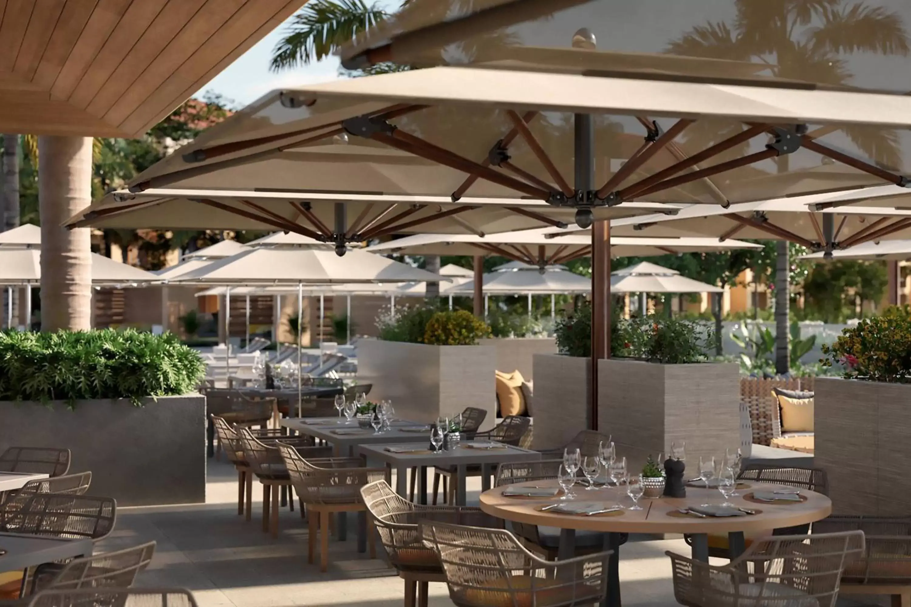 Restaurant/Places to Eat in The Ritz-Carlton Naples, Tiburón