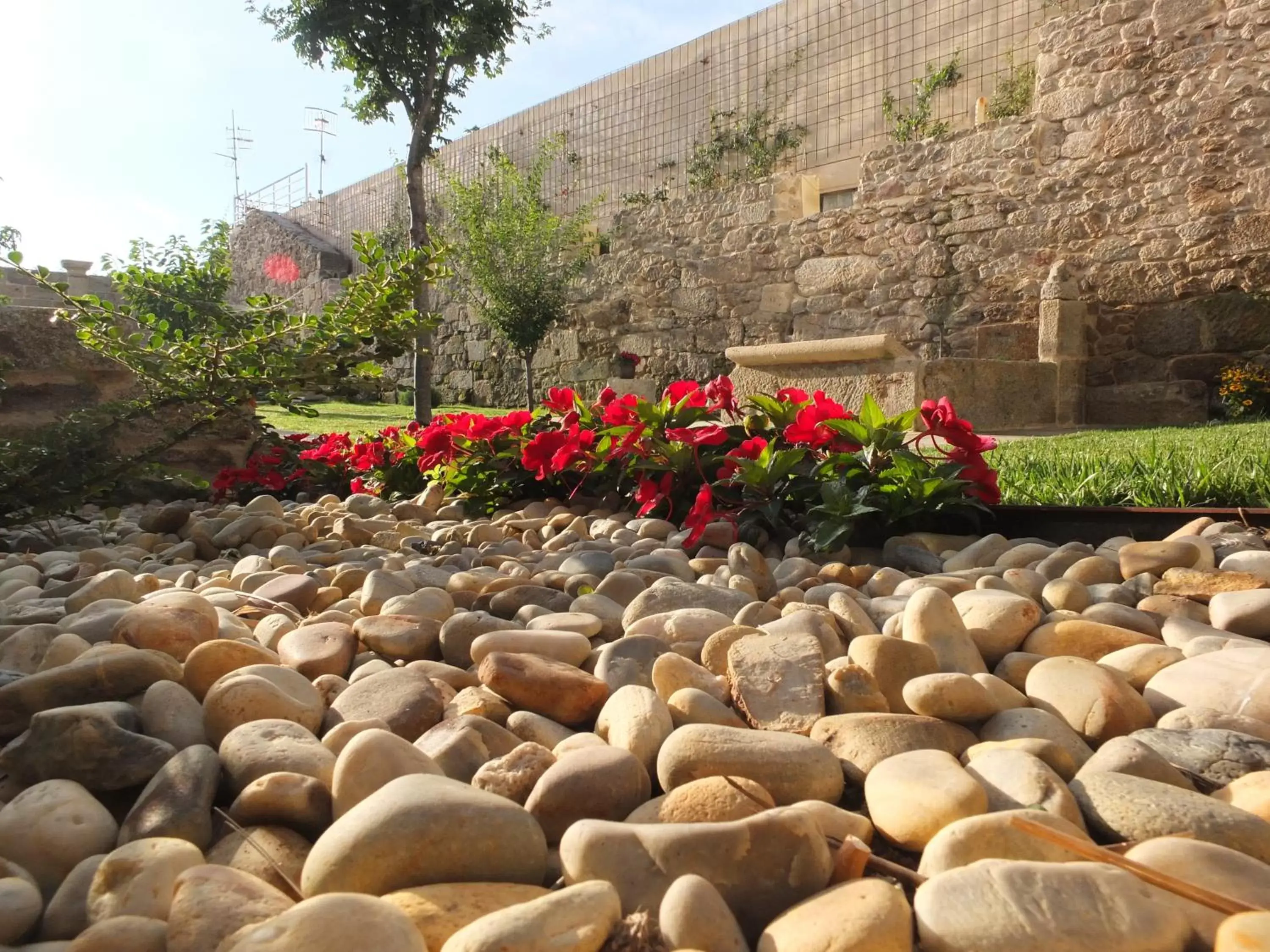 Garden in ACOUGA Hotel Boutique