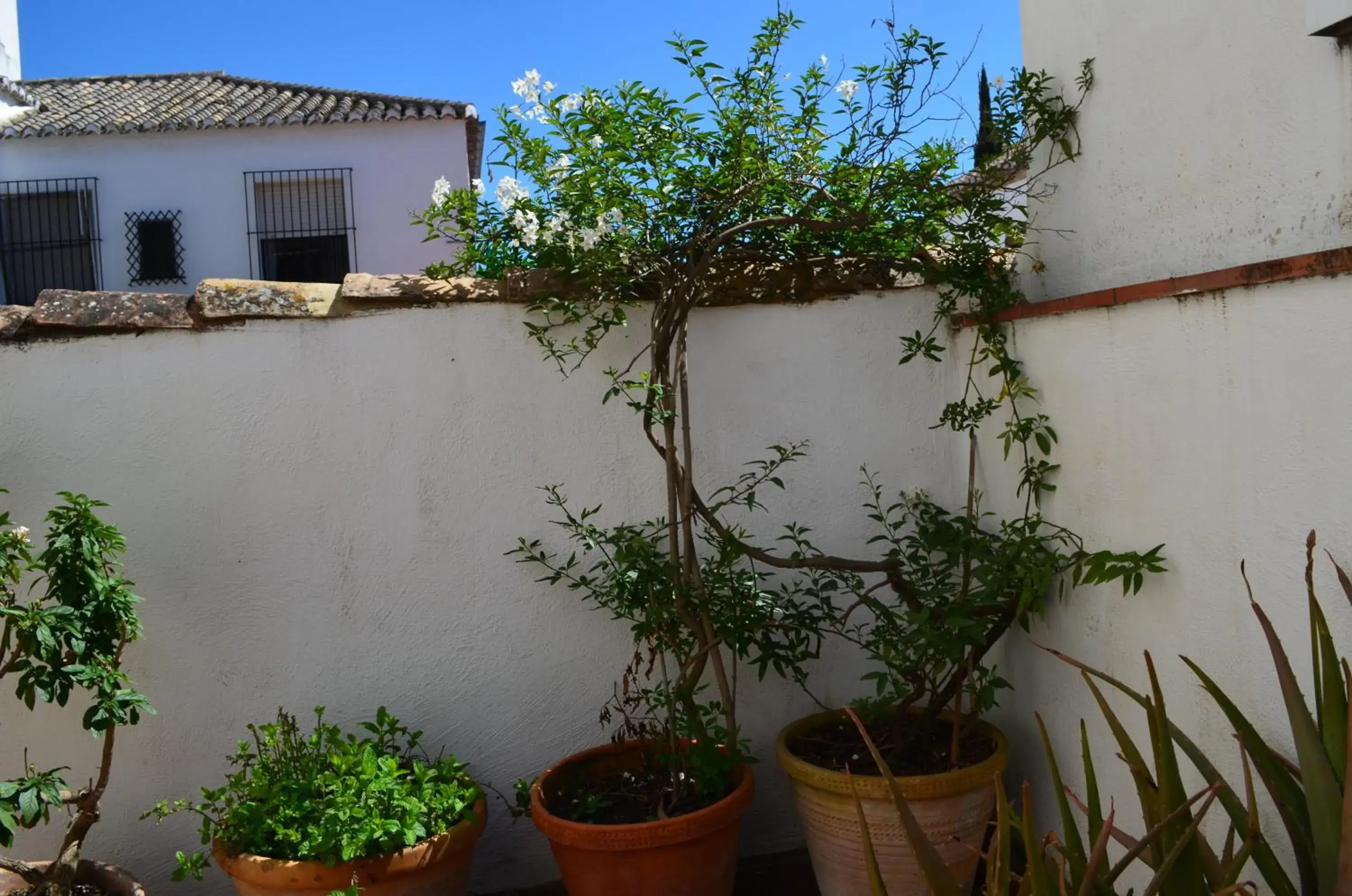 Balcony/Terrace in Hotel Santa Isabel La Real