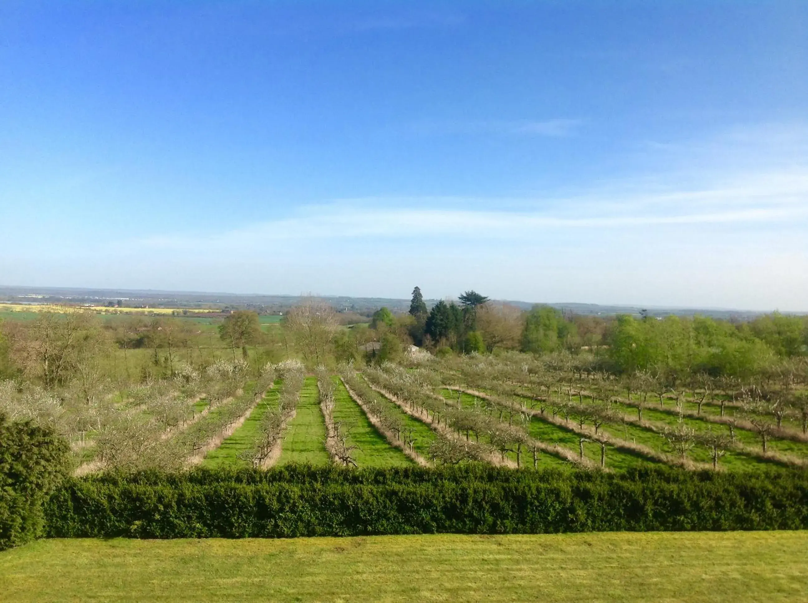 View (from property/room), Natural Landscape in Shakespeare's View