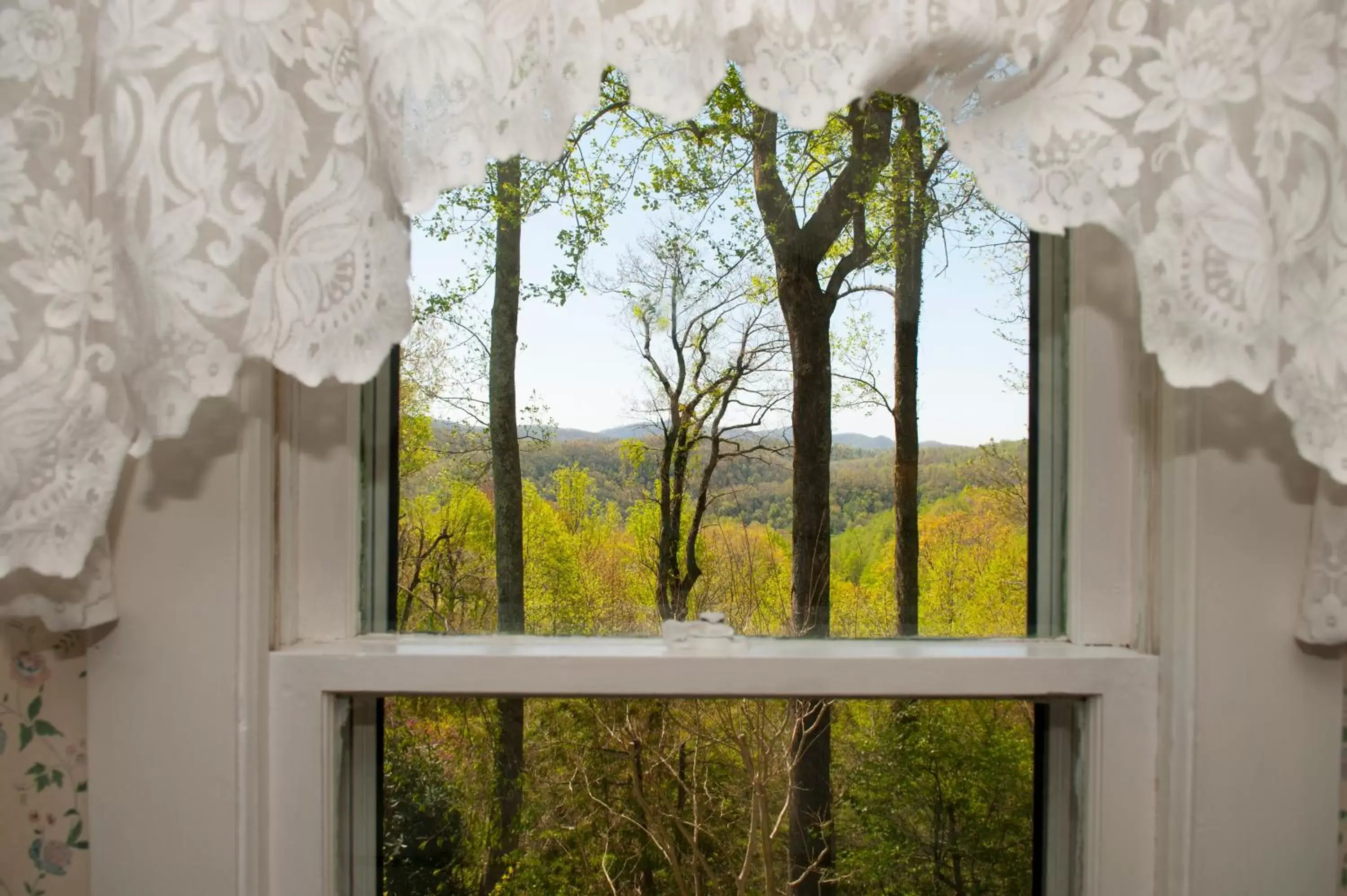 Balcony/Terrace in Orchard Inn