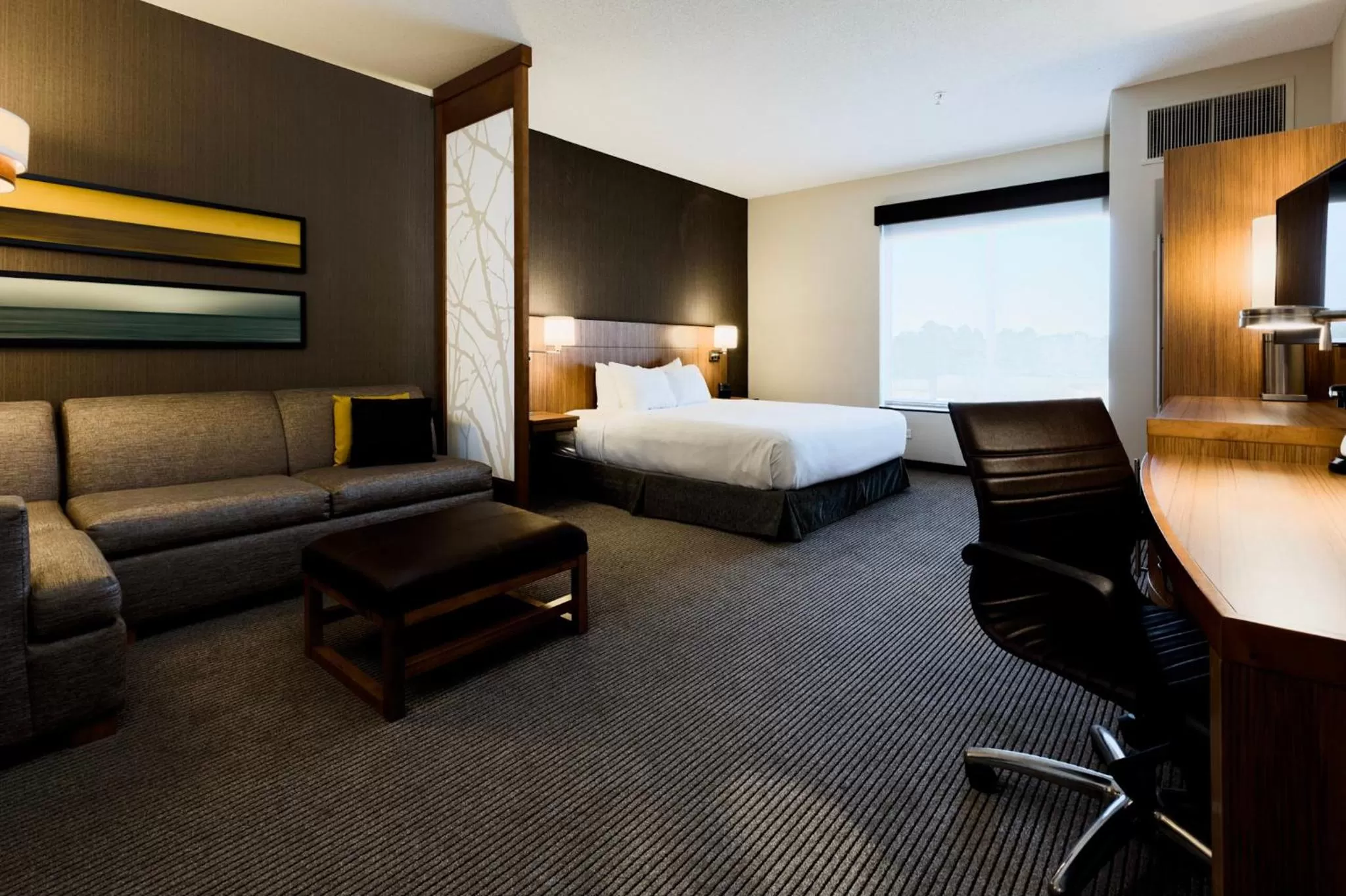 King Room with Sofa Bed - High Floor in Hyatt Place Augusta