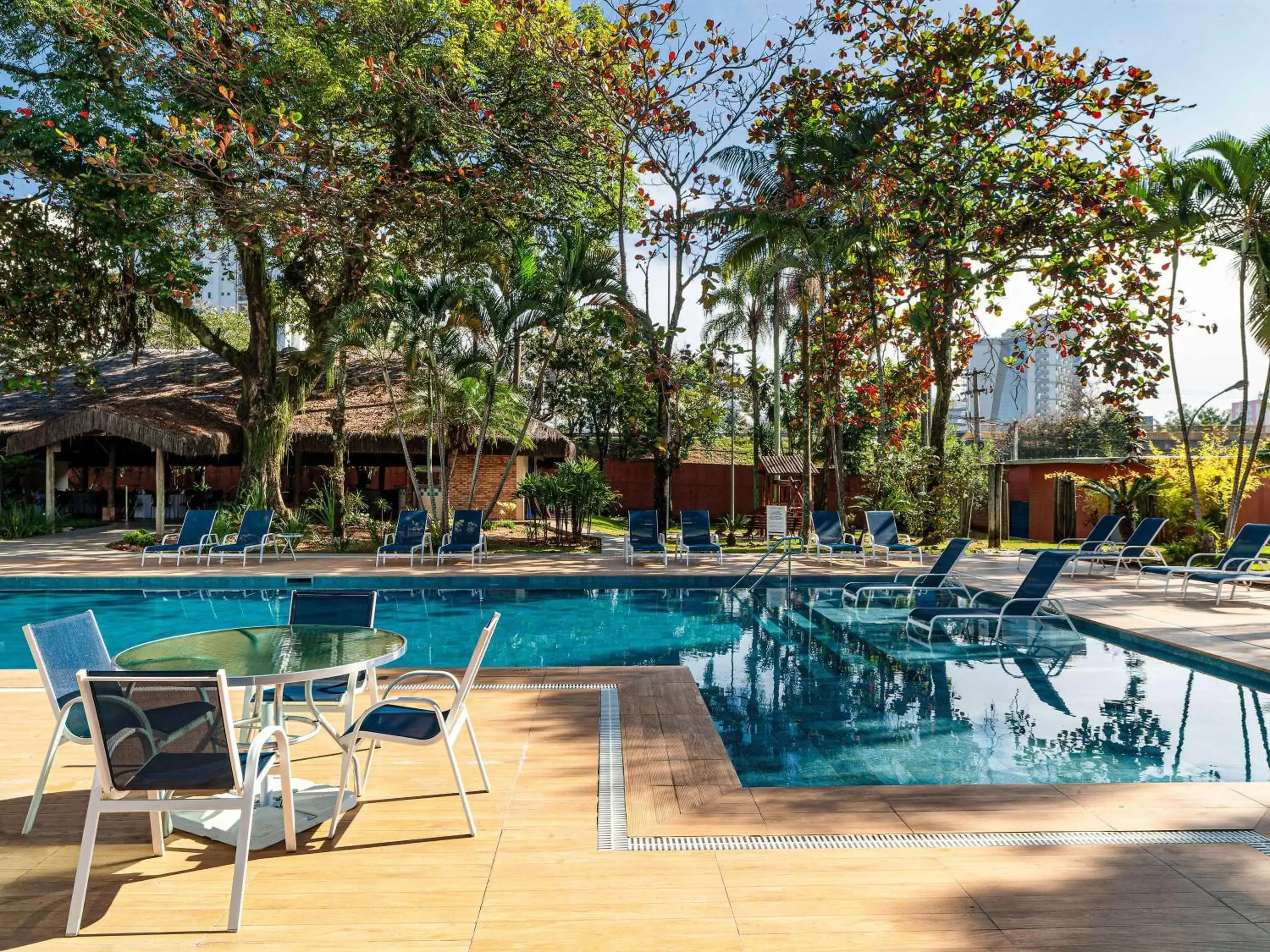 Garden, Swimming Pool in Novotel Sao Jose dos Campos