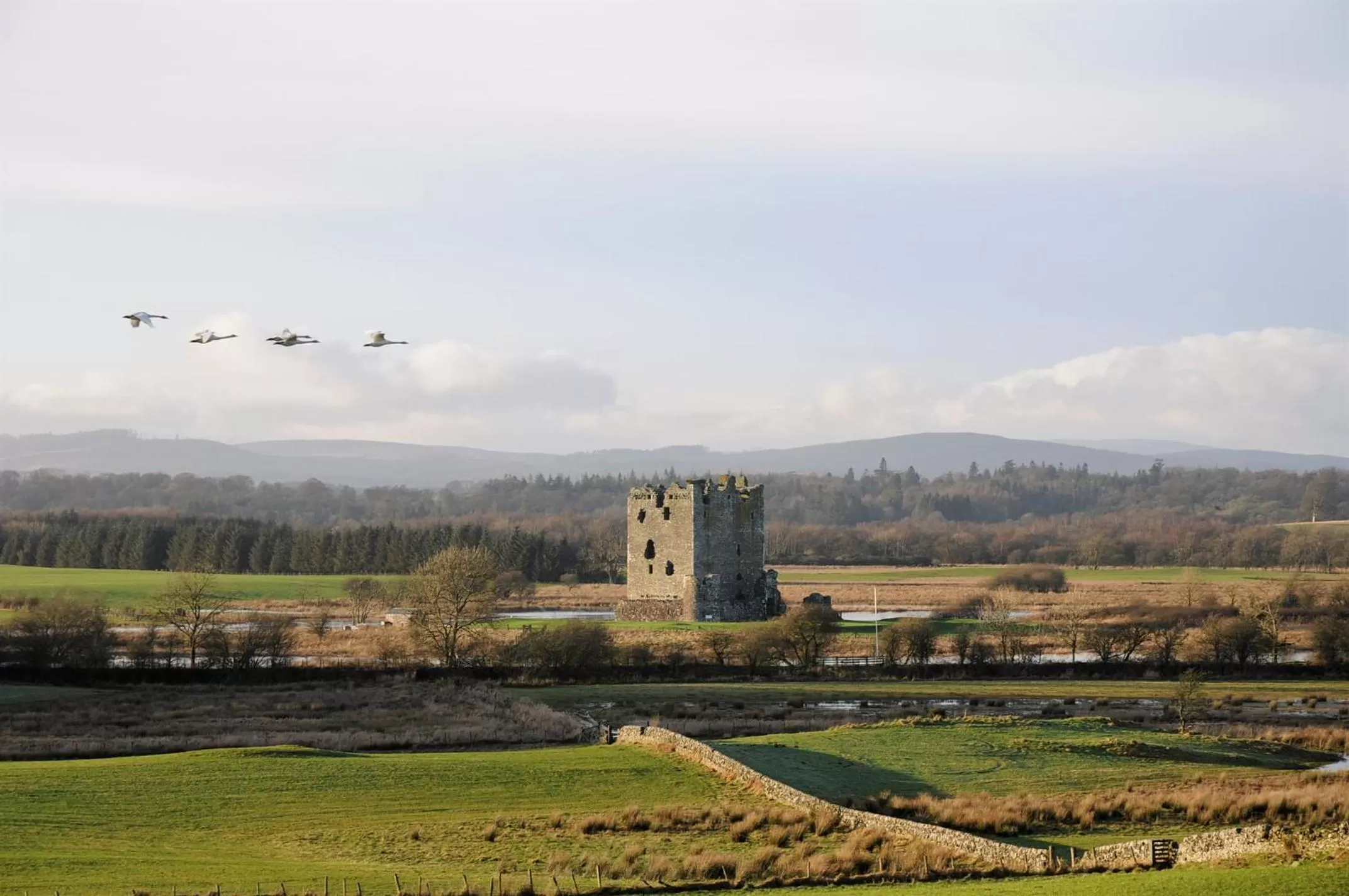Nearby landmark in Douglas House