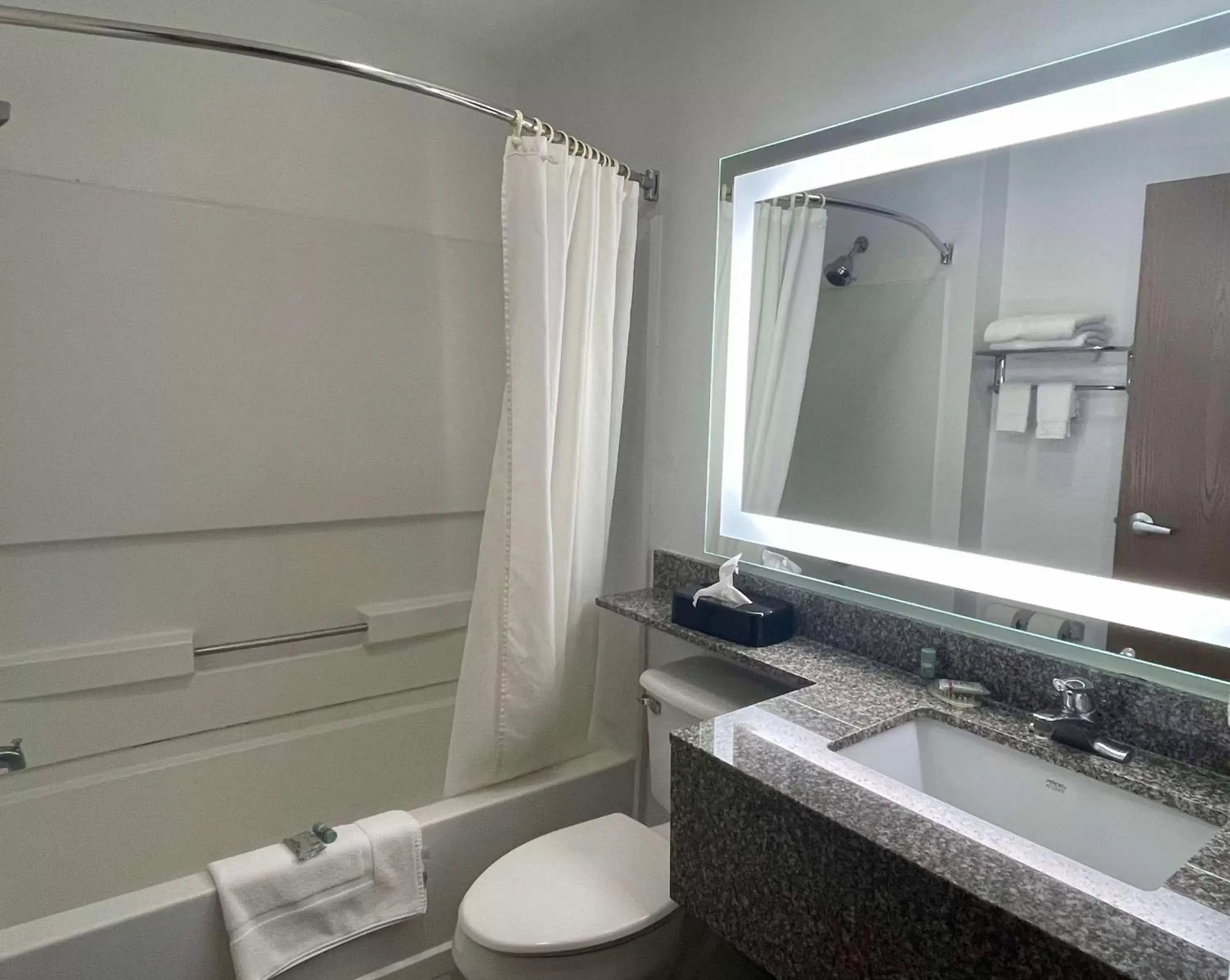 Bathroom in Best Western Roanoke Inn & Suites