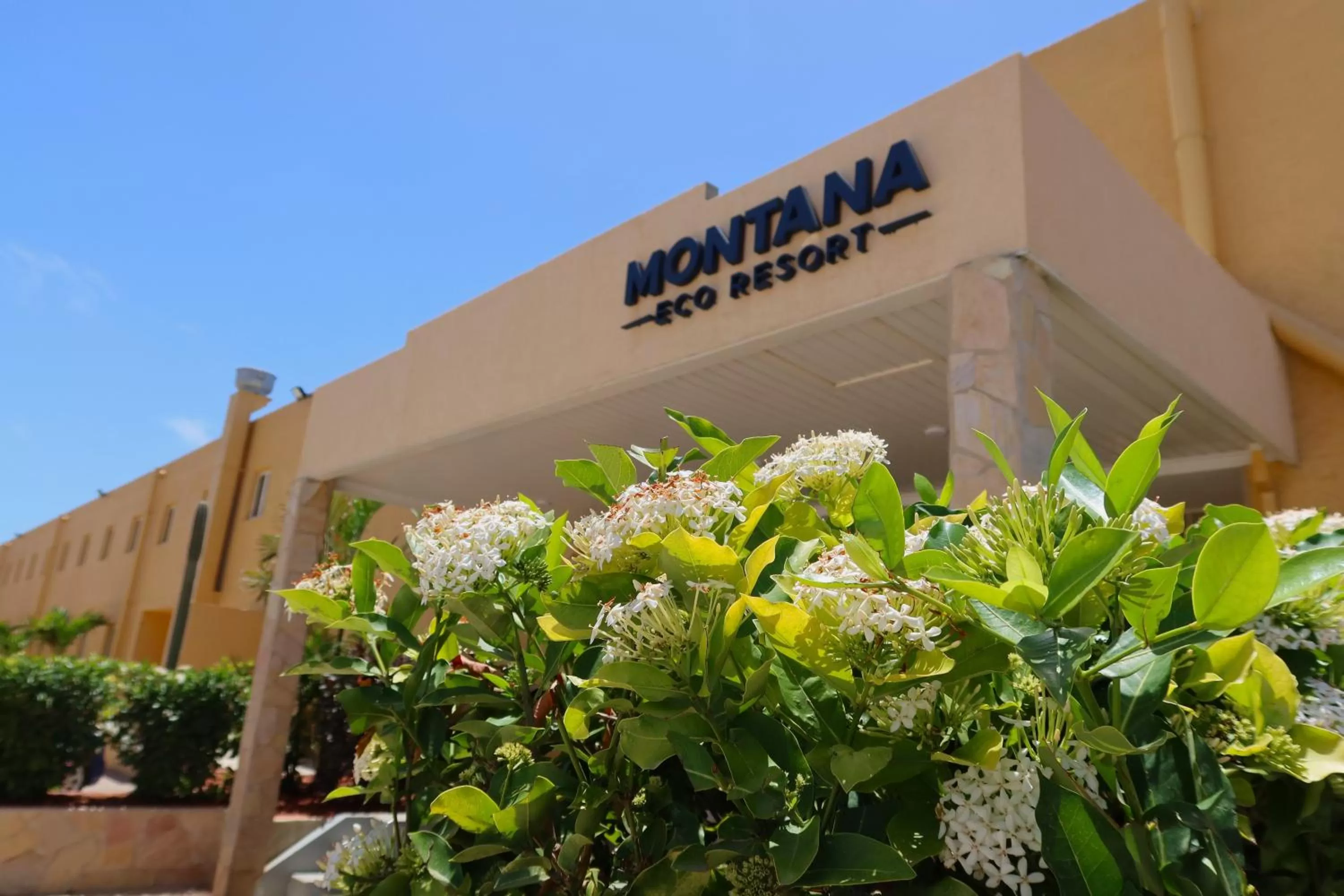 Logo/Certificate/Sign in Montana Eco Resort Aruba