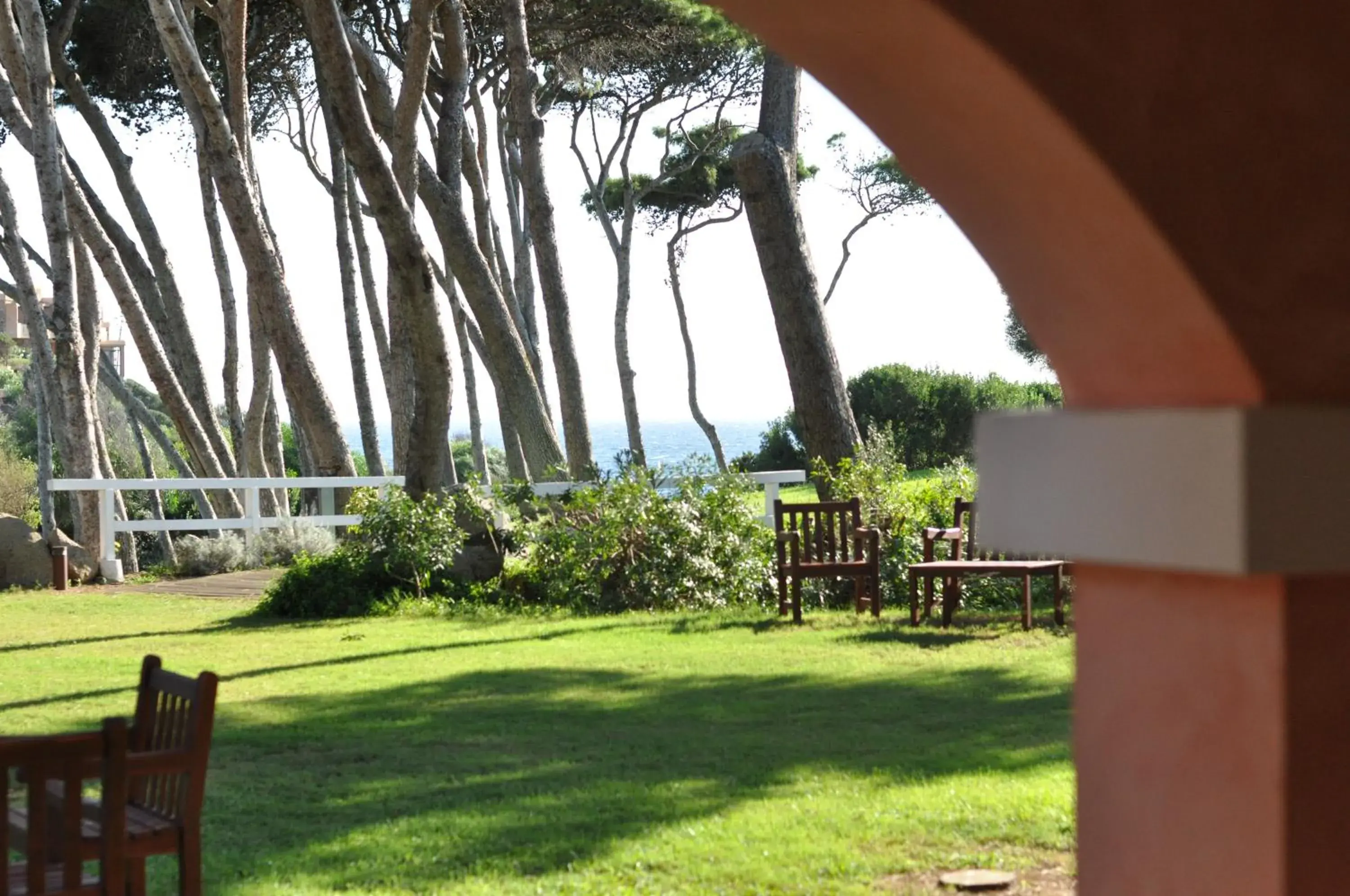 View (from property/room), Garden in Hotel Cala Caterina