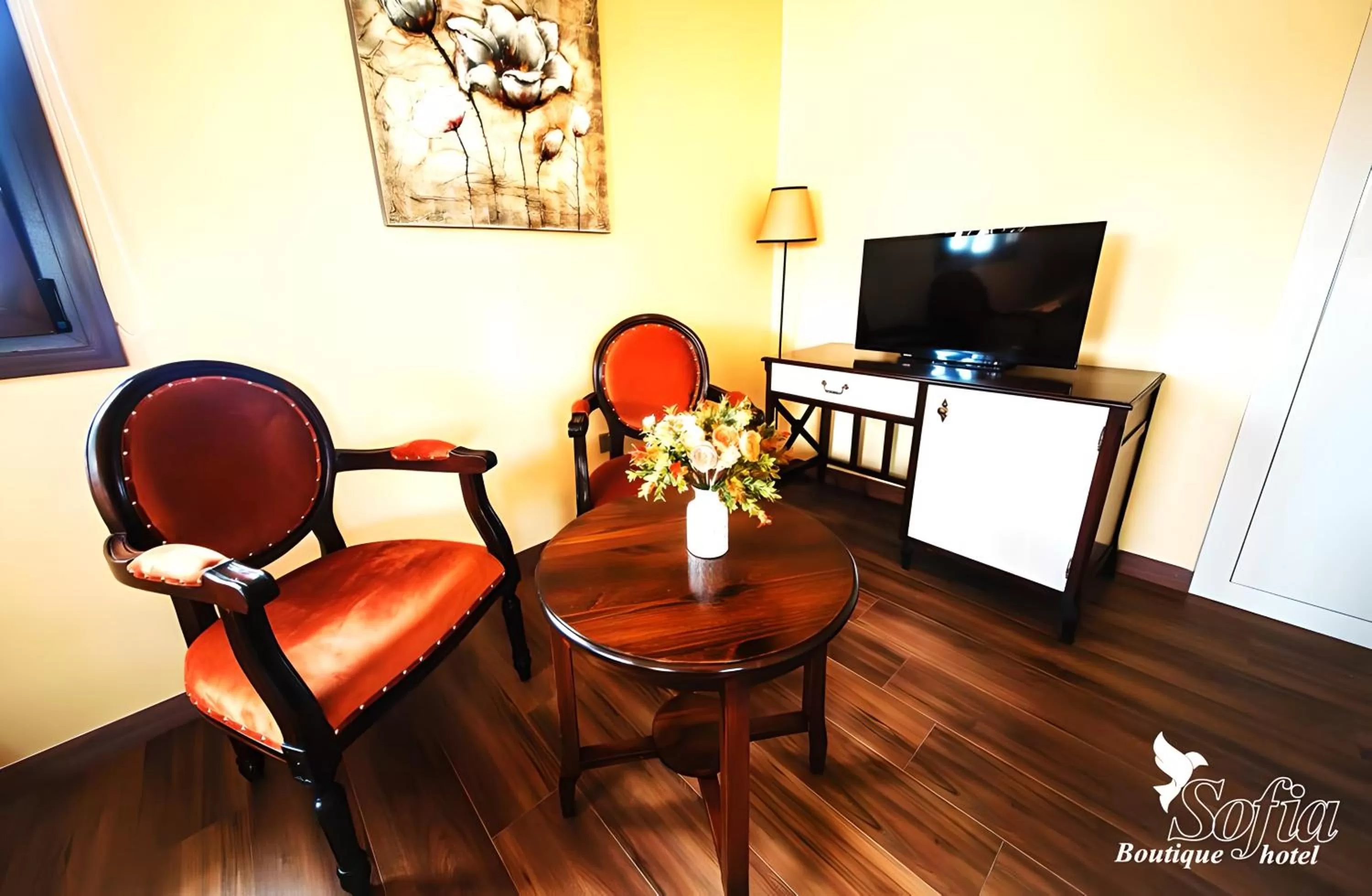 TV and multimedia in SOFIA BOUTIQUE HOTEL