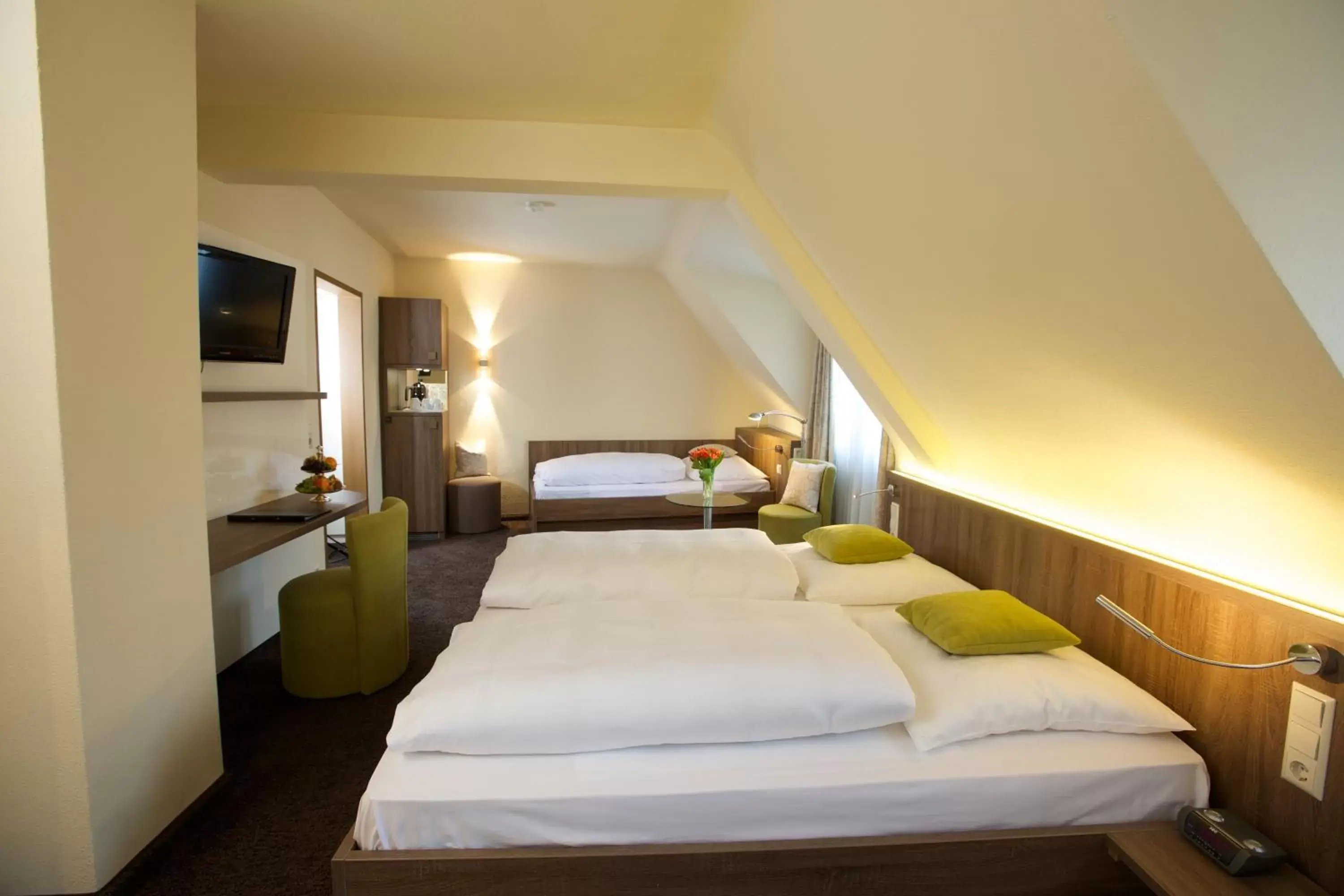 Triple Room - single occupancy in Hotel Warteck Triple Room - single occupancy in Hotel Warteck