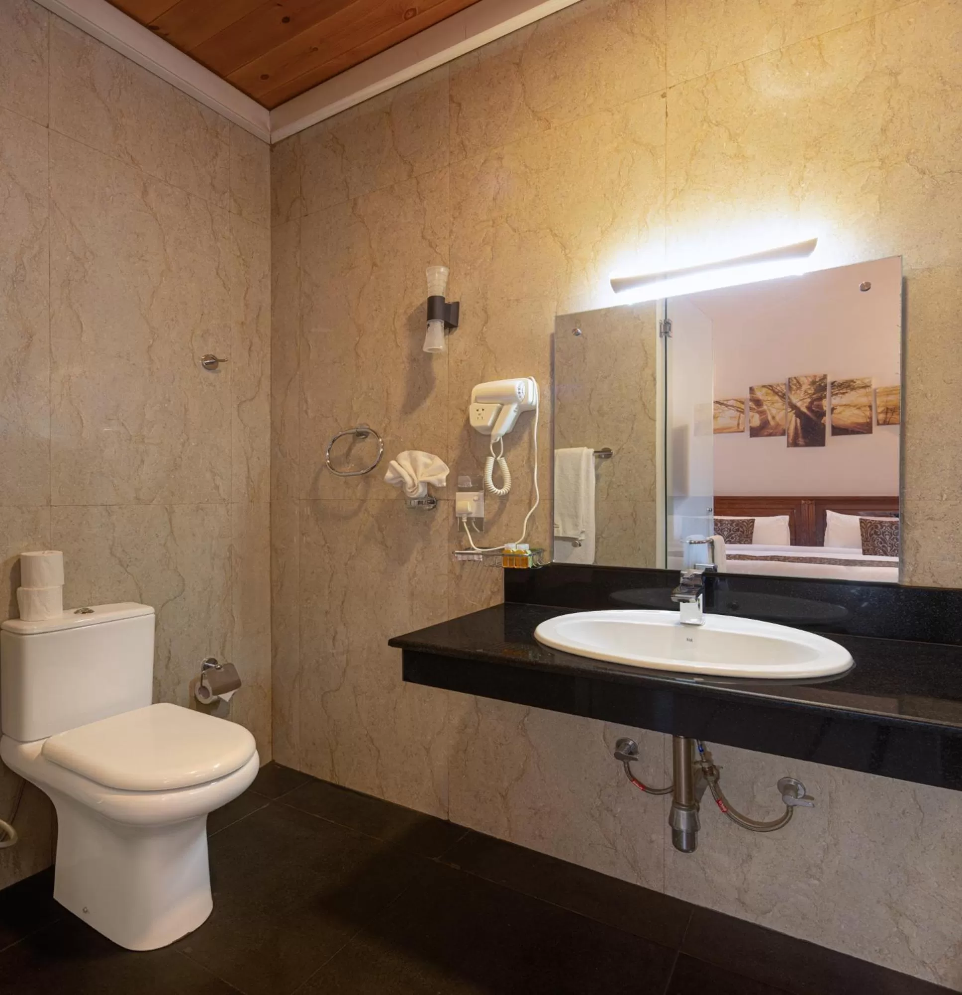 Toilet in Hotel Cassendra