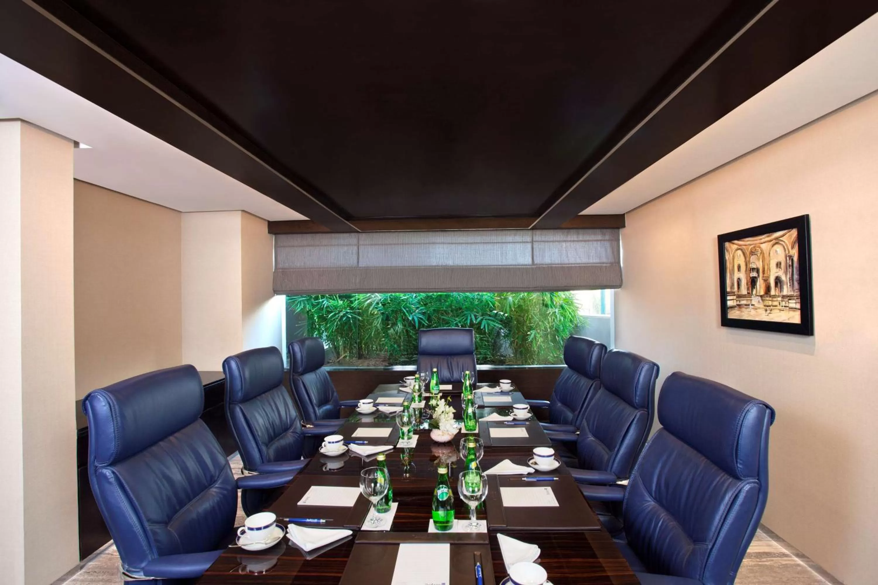 Meeting/conference room in Radisson Blu Plaza Delhi Airport