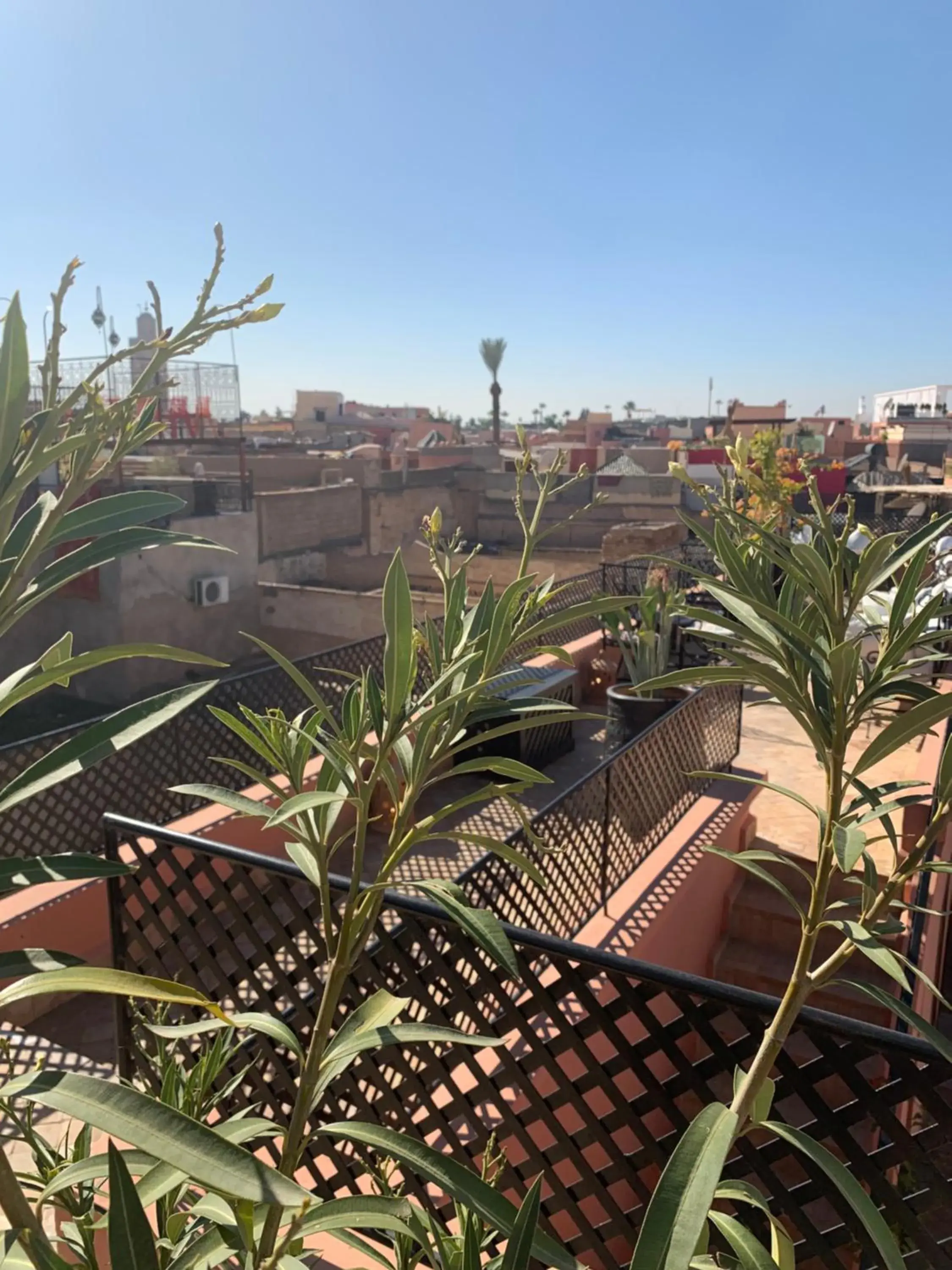 Neighbourhood in Riad Abaka hotel & boutique