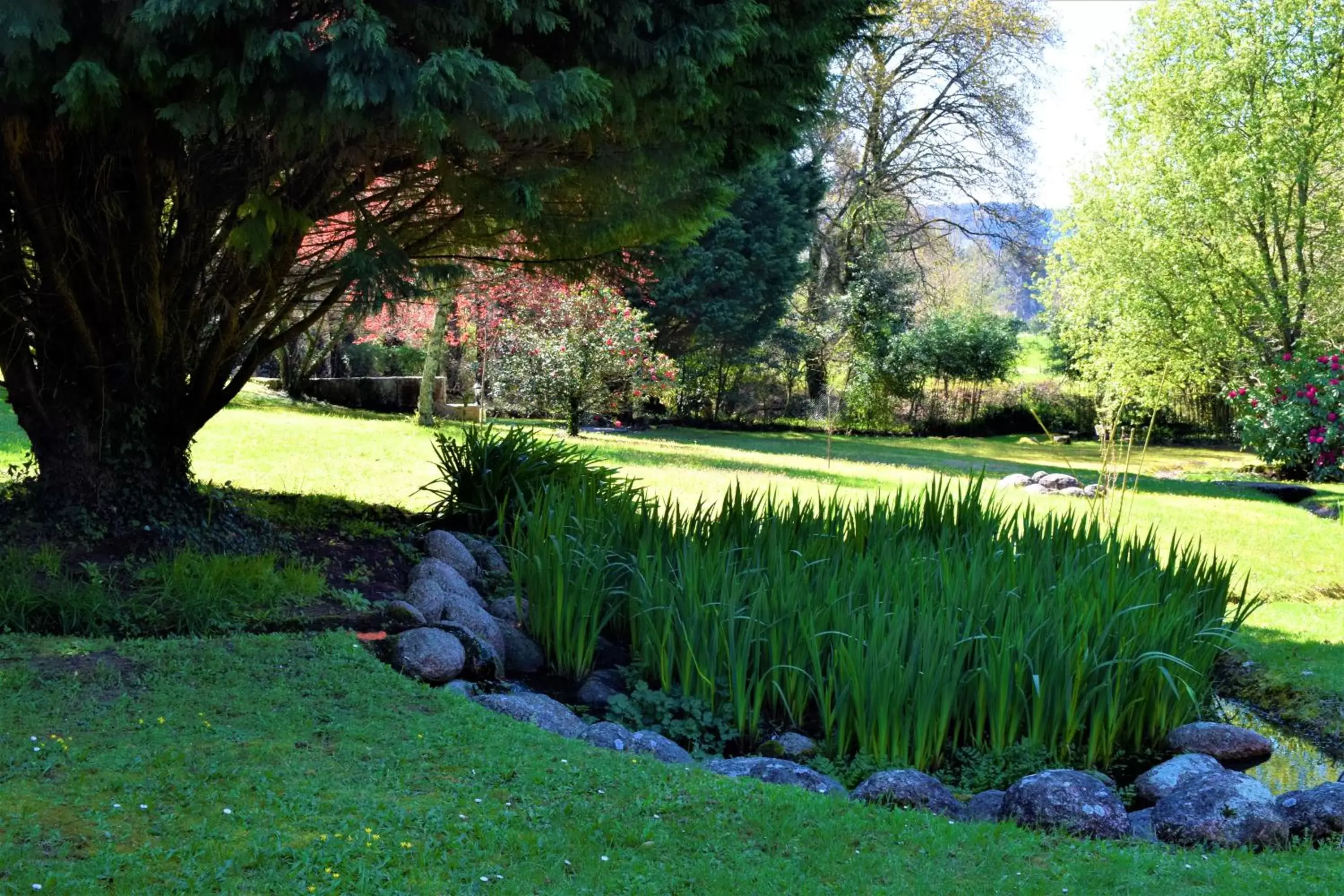 Garden, Natural Landscape in Casa a Pedreira Rias Baixas