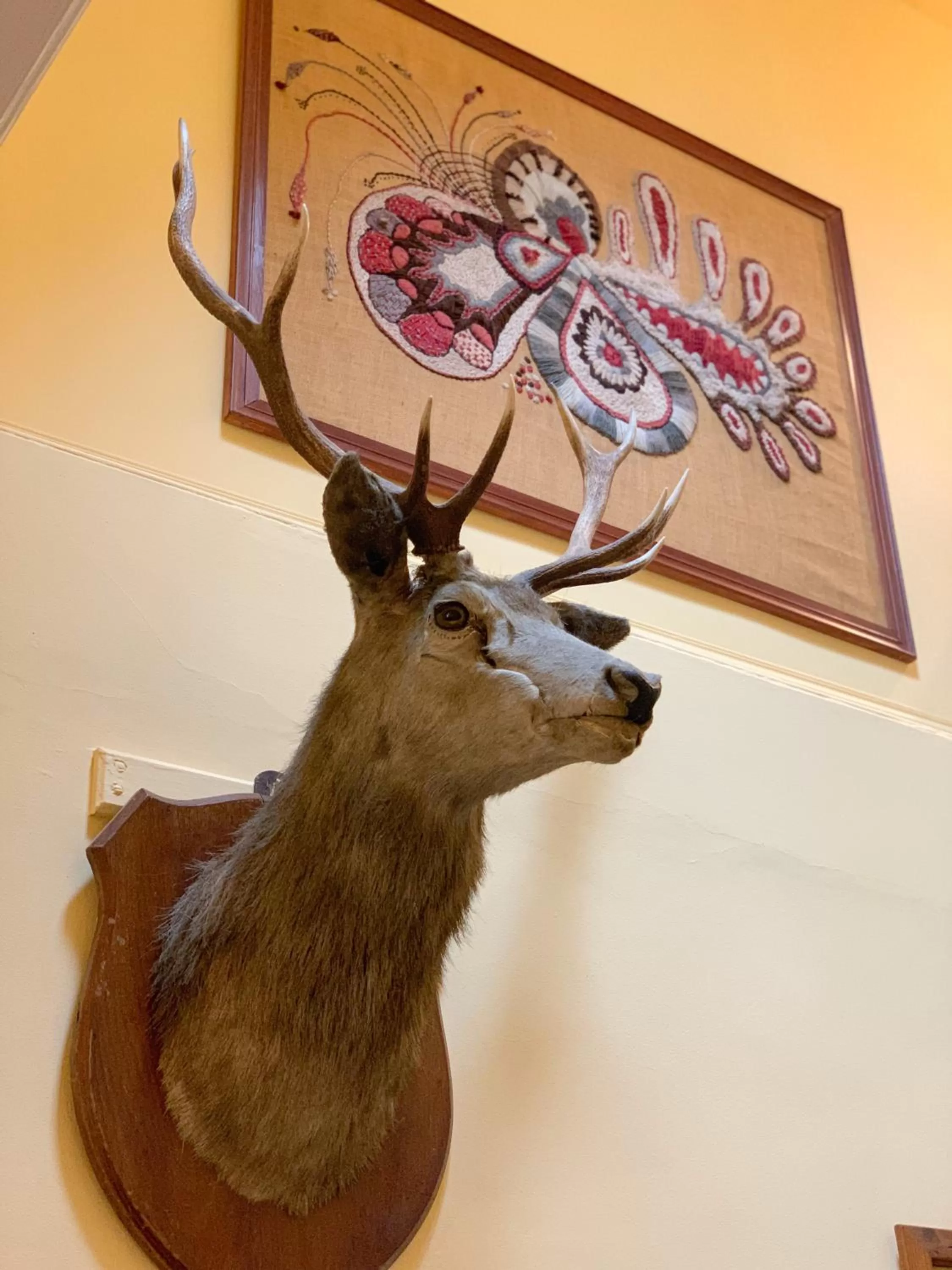 Property building in West Plean House