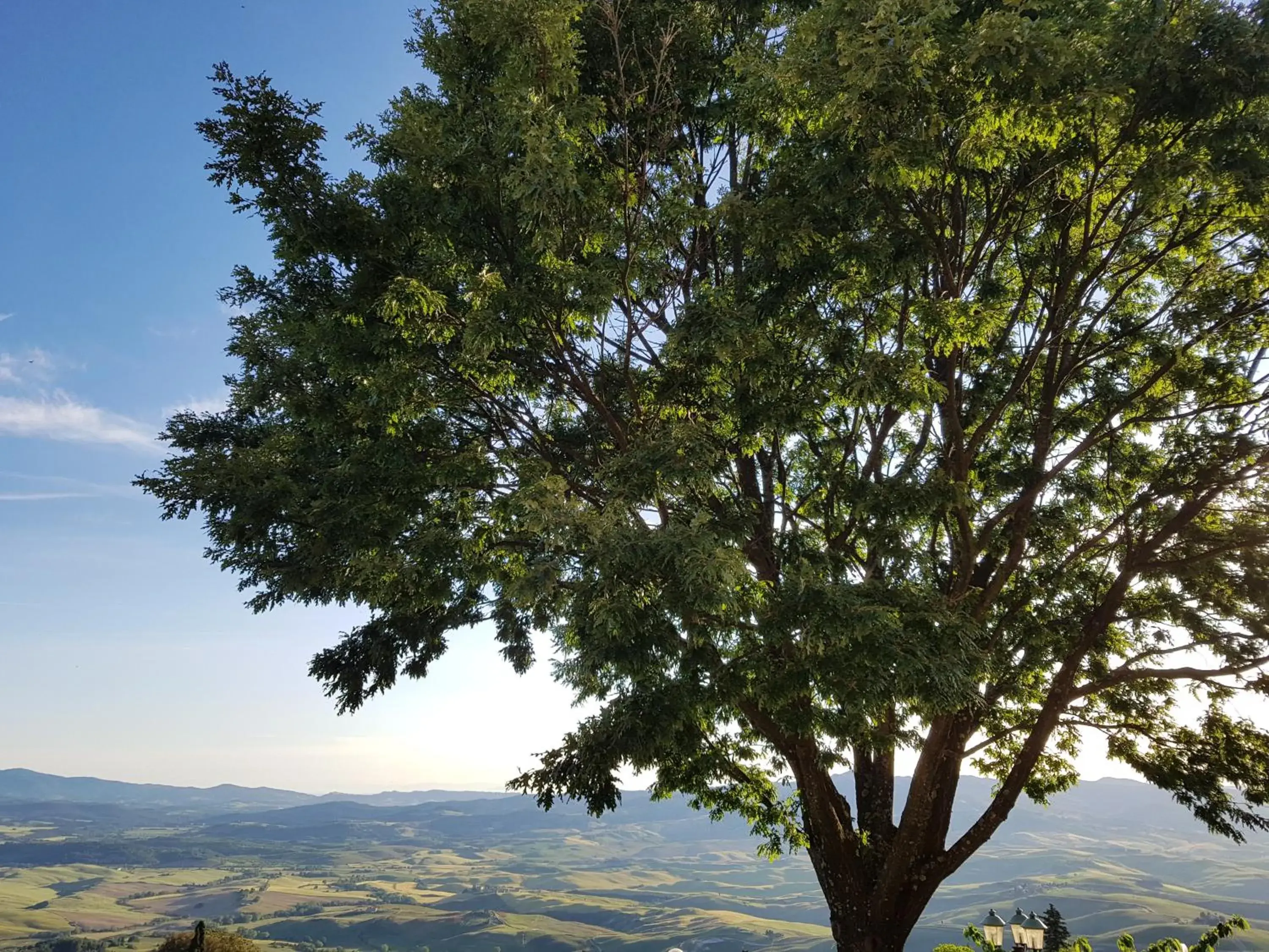 View (from property/room) in Villa Nencini