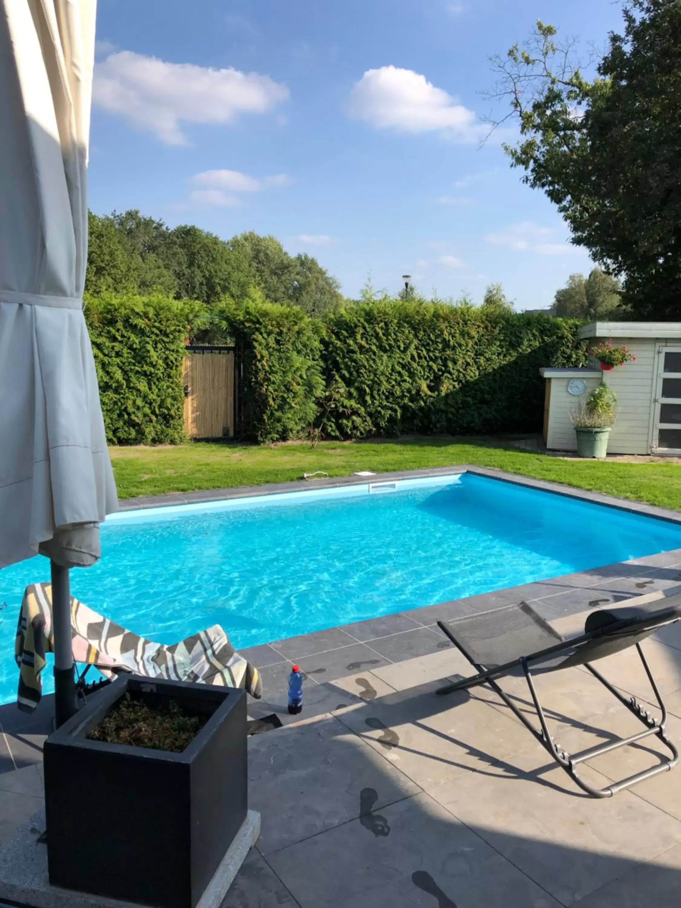 Swimming Pool in B&B Maison Saint Tropez Eindhoven