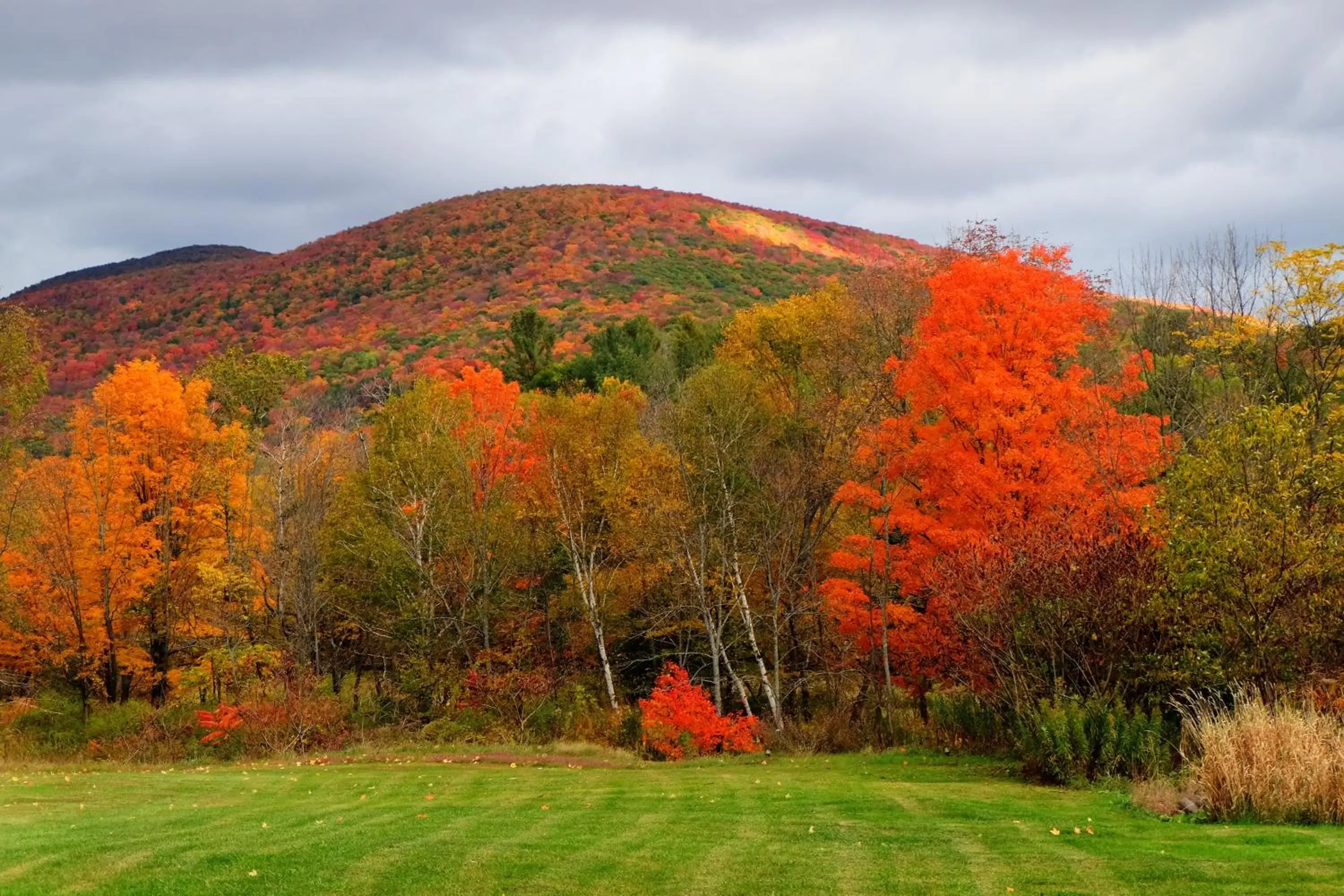 Mountain view in Mountain Treasure Bed and Breakfast