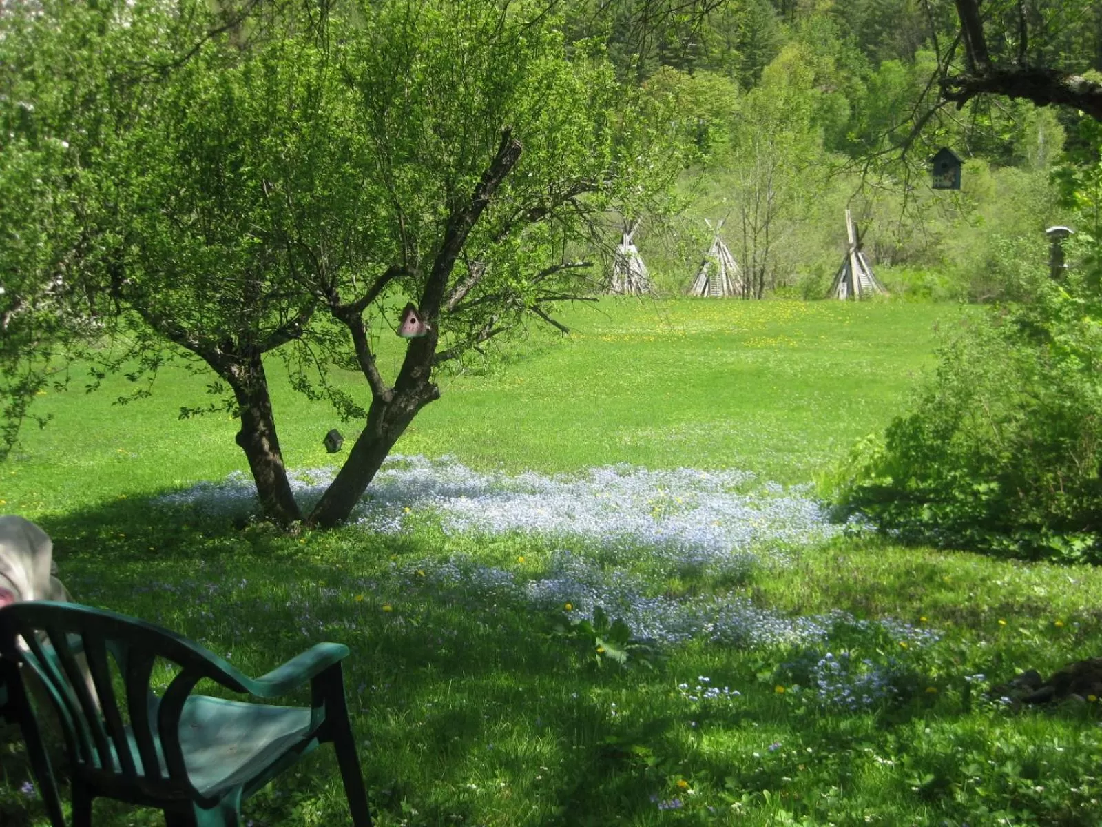 Mountain Valley Retreat