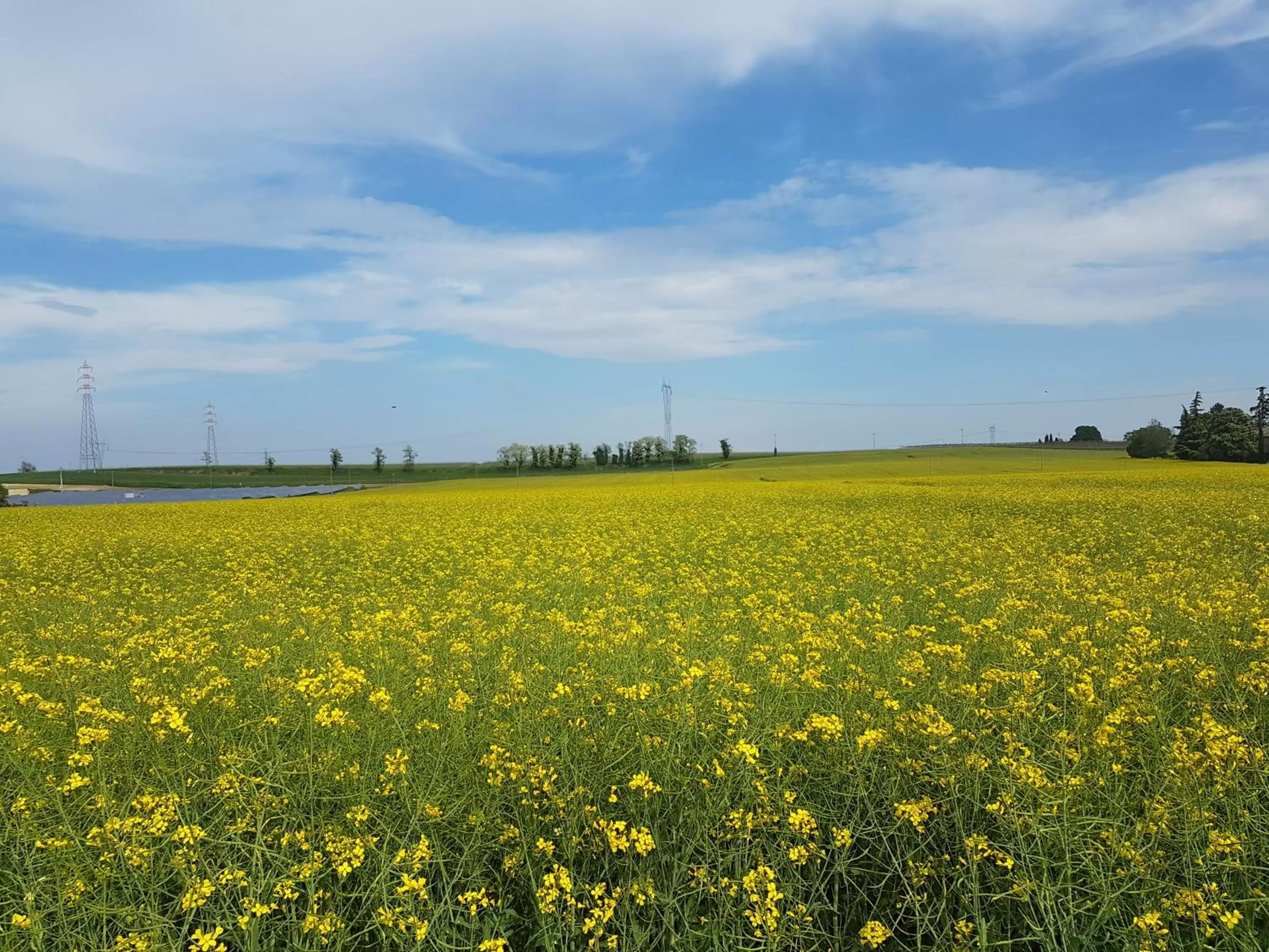 Natural landscape in L'Isolo b&b e case vacanza