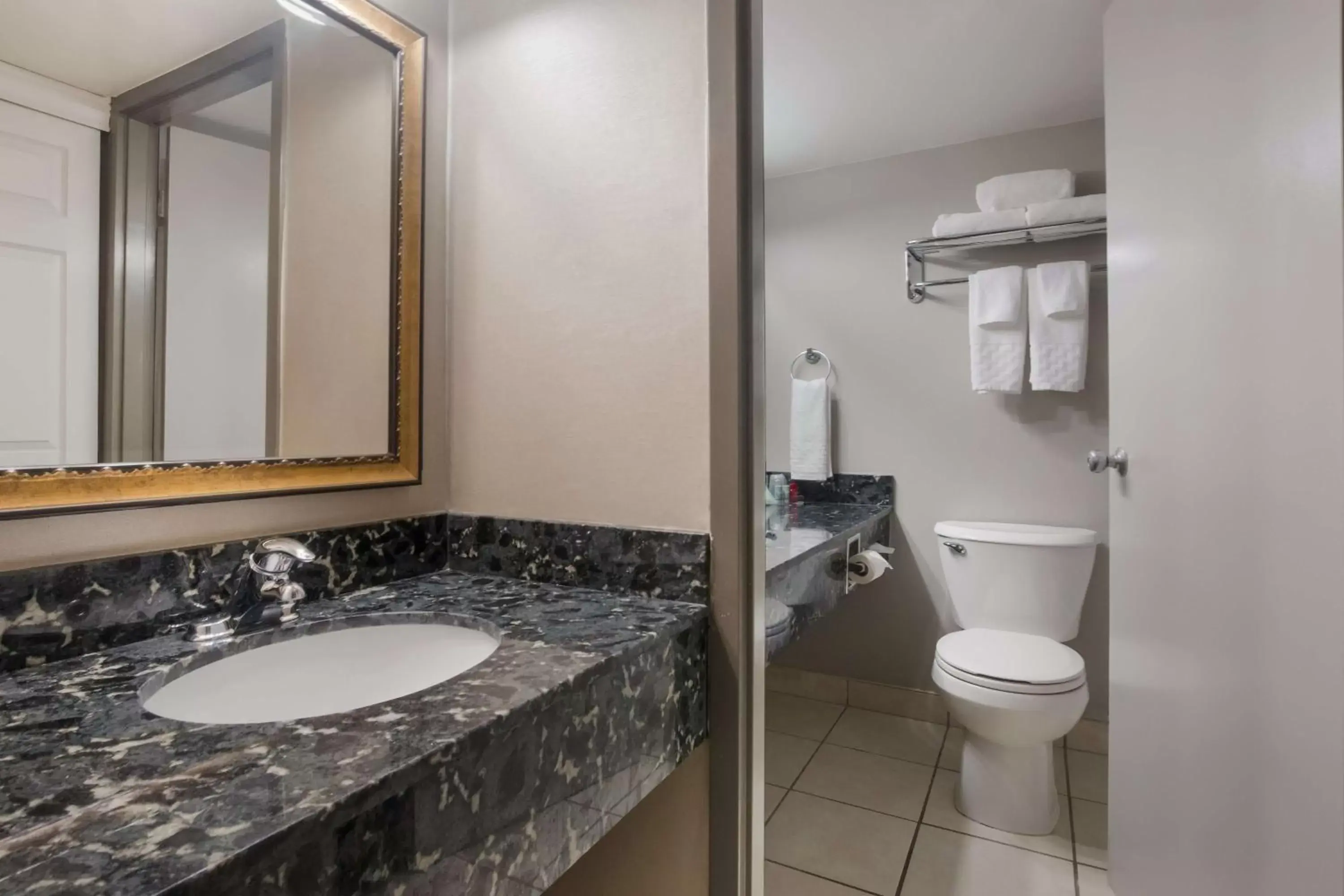 Bathroom in Best Western St Catharines Hotel & Conference Centre