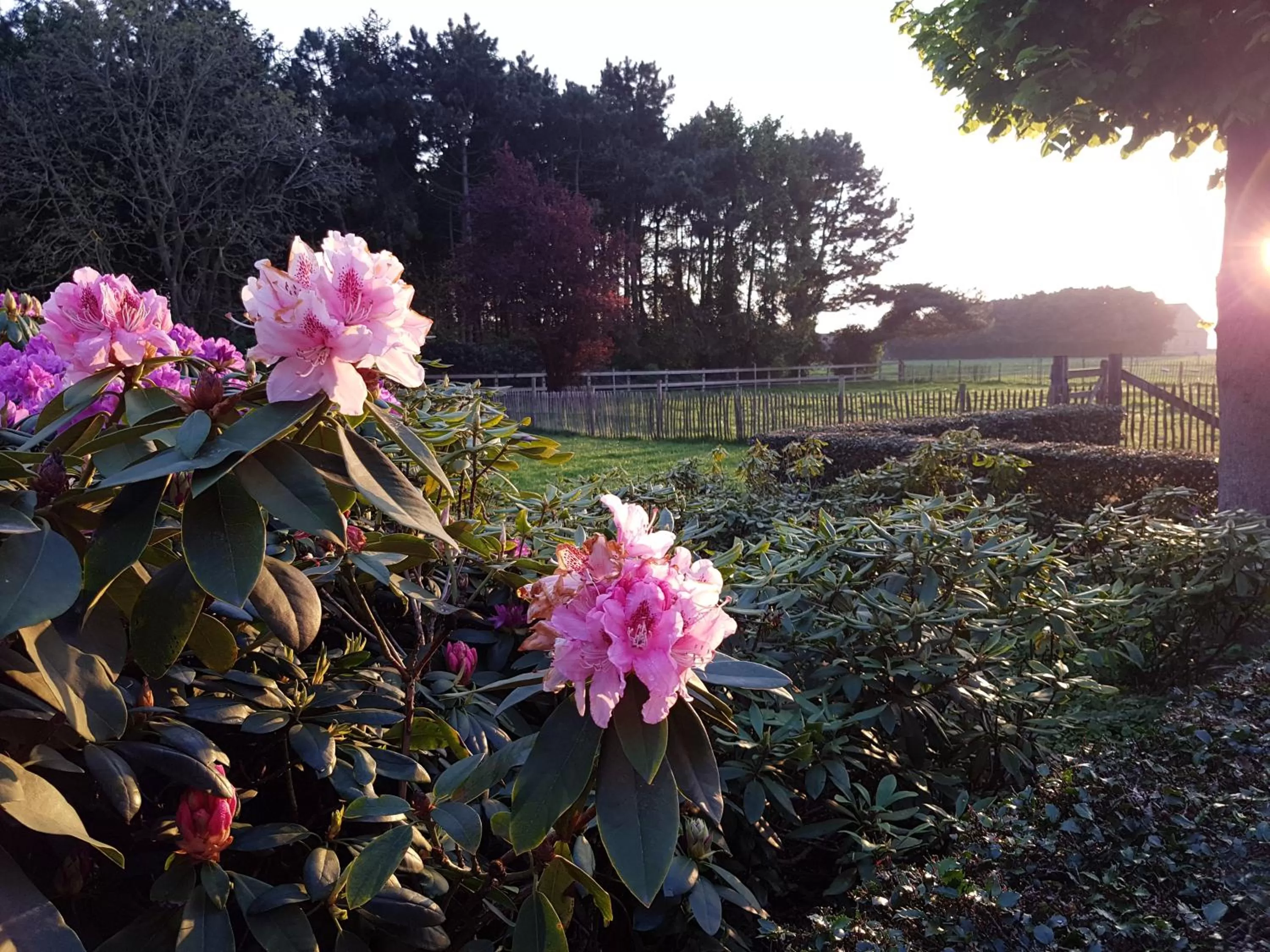 Property building in B&B Bergenhof