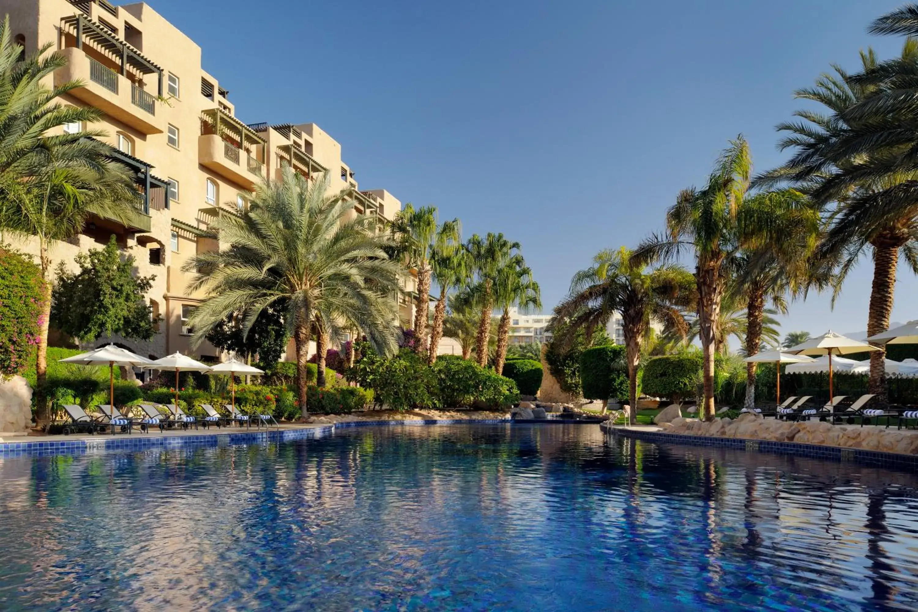 Swimming Pool in Movenpick Resort & Residences Aqaba