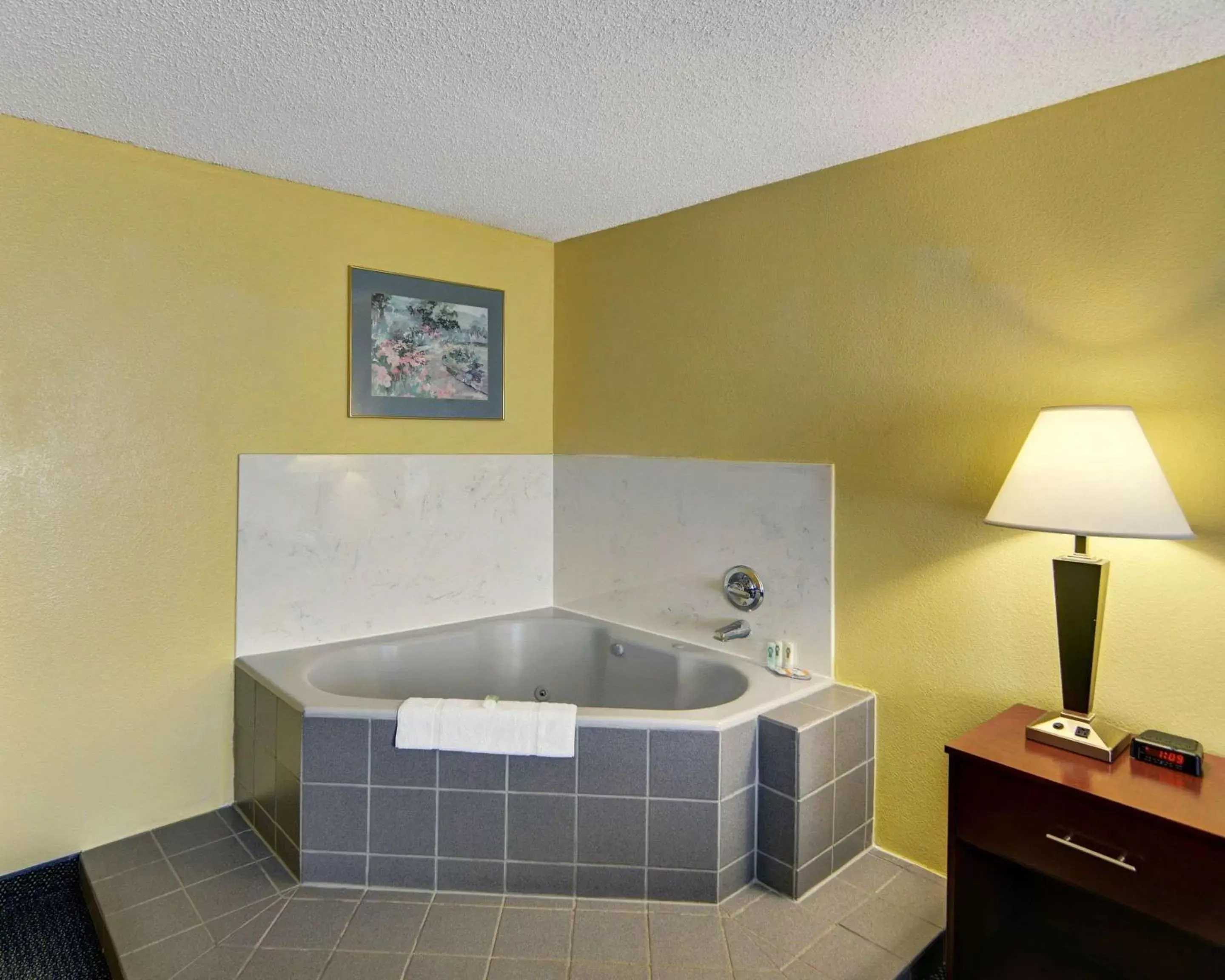 Photo of the whole room in Quality Inn & Suites Grand Prairie