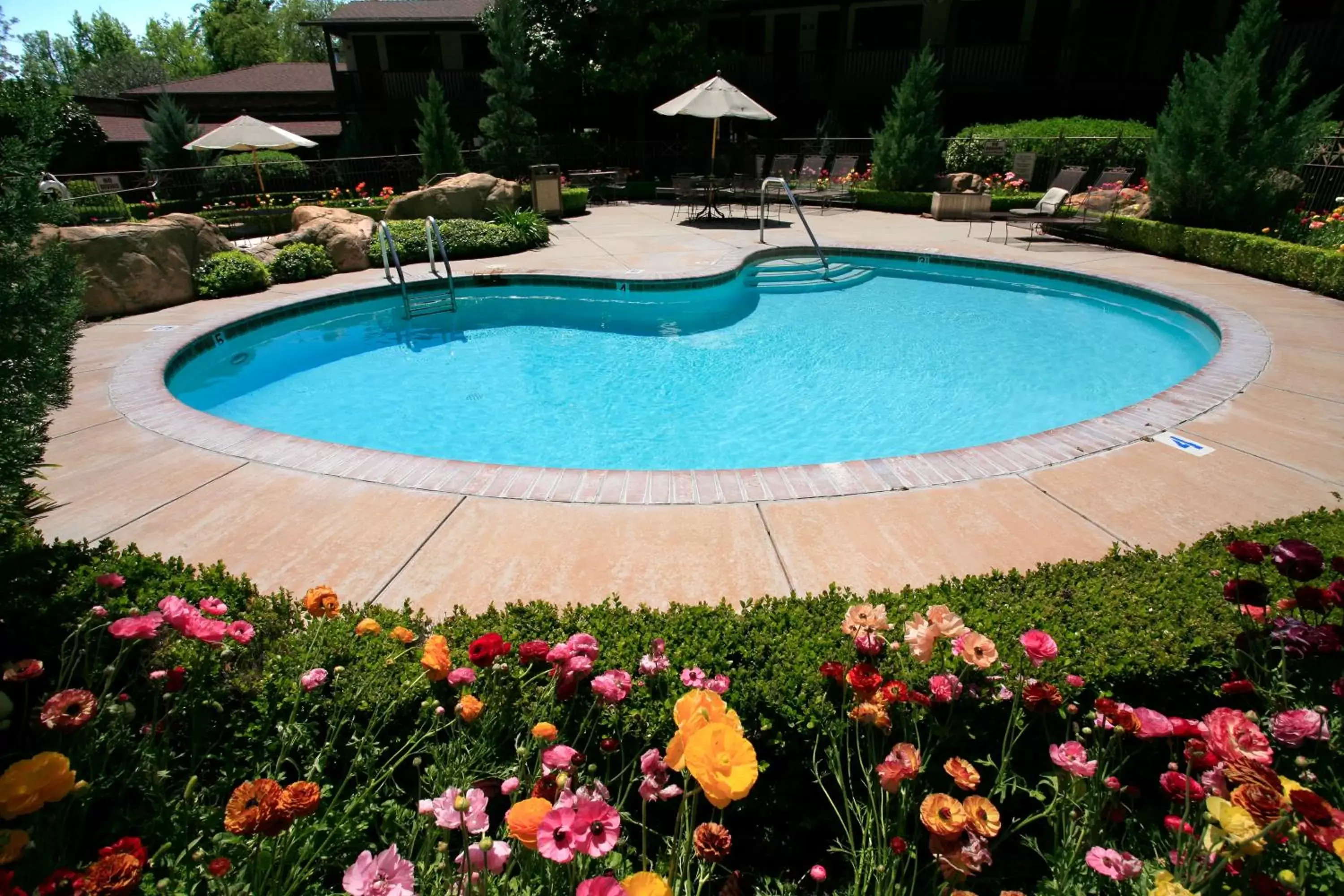 Patio, Swimming Pool in Paso Robles Inn