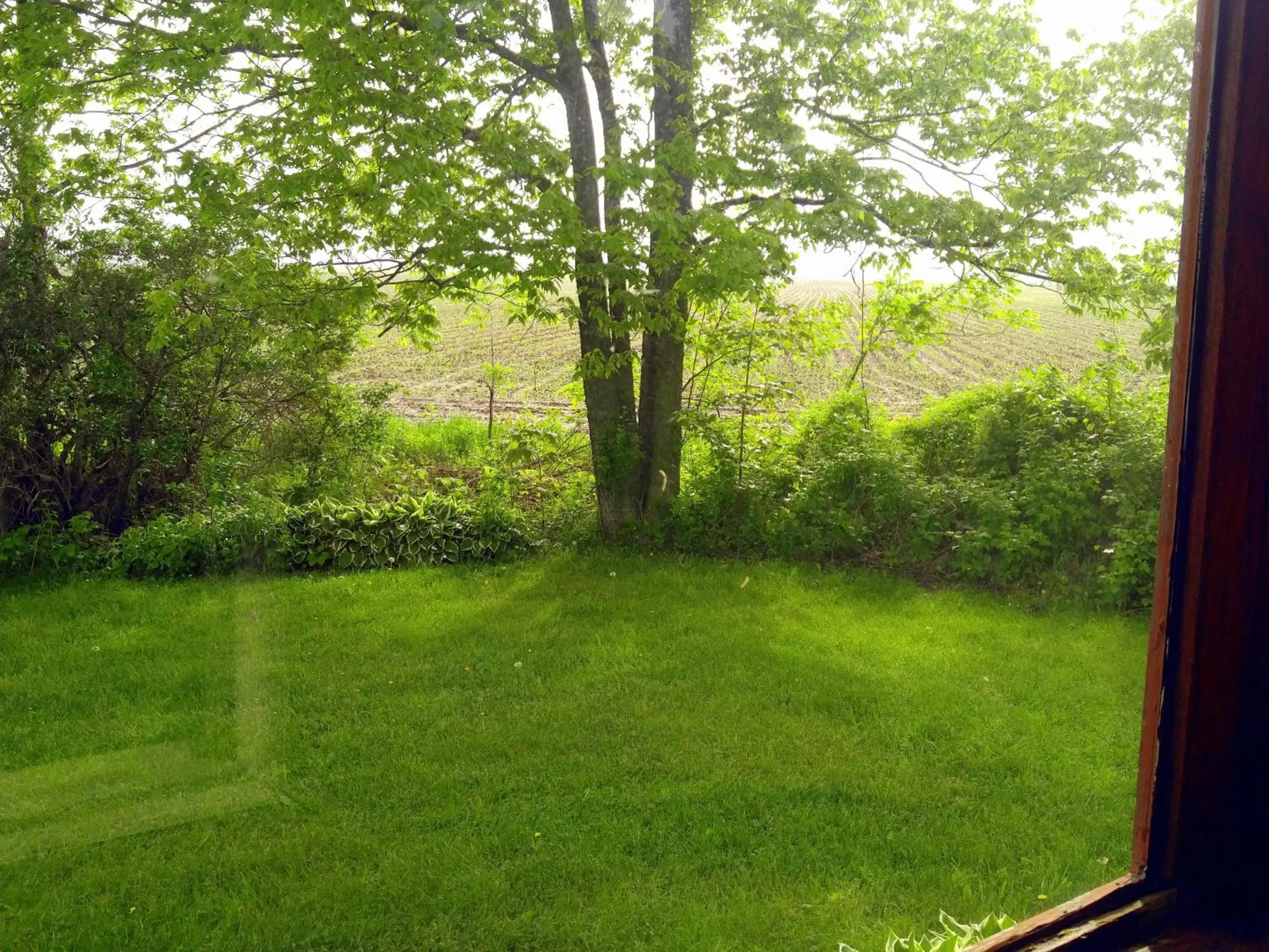 Garden in The Usonian Inn LLC