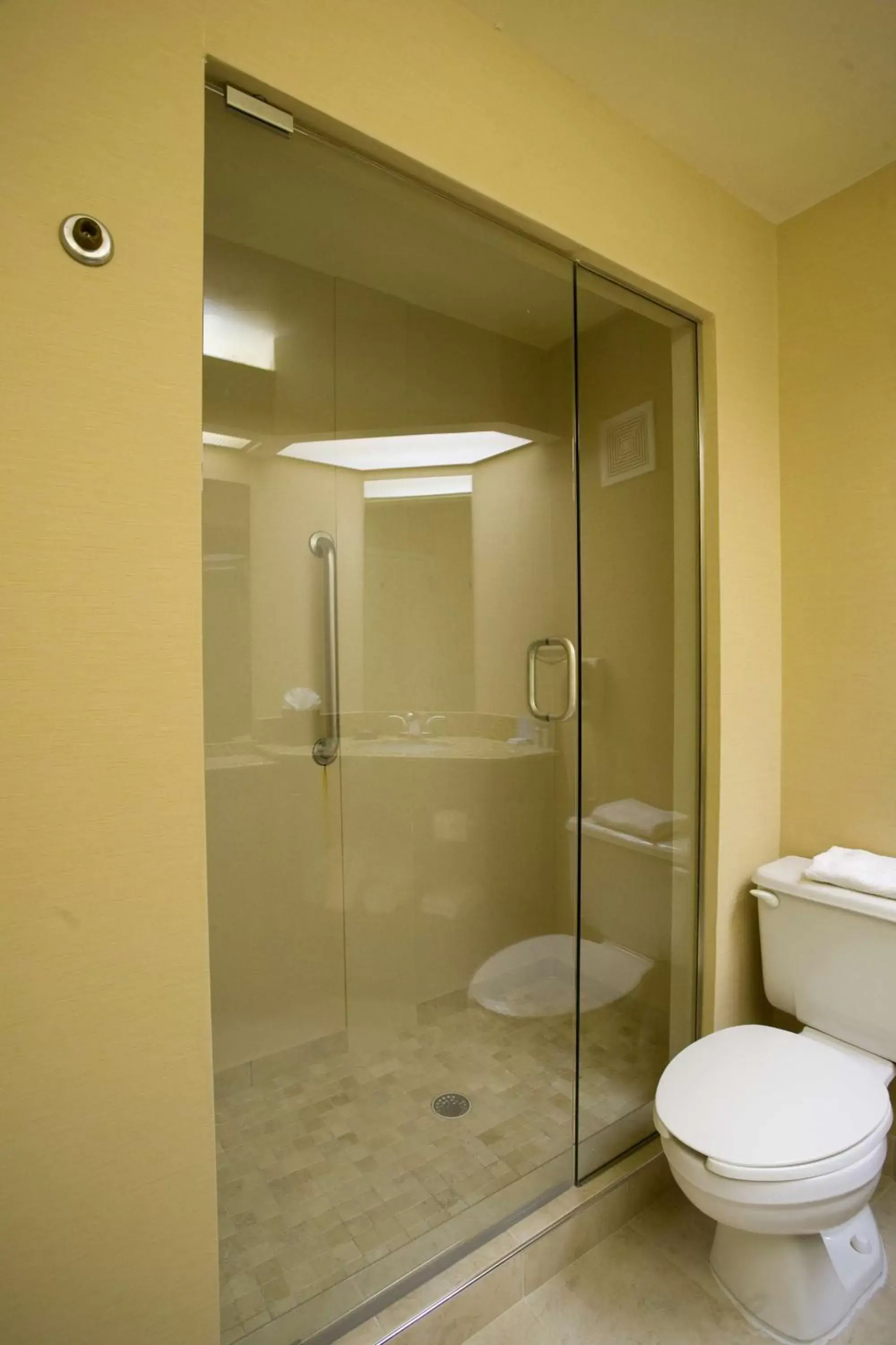 Bathroom in Hampton Inn Atlanta-Newnan