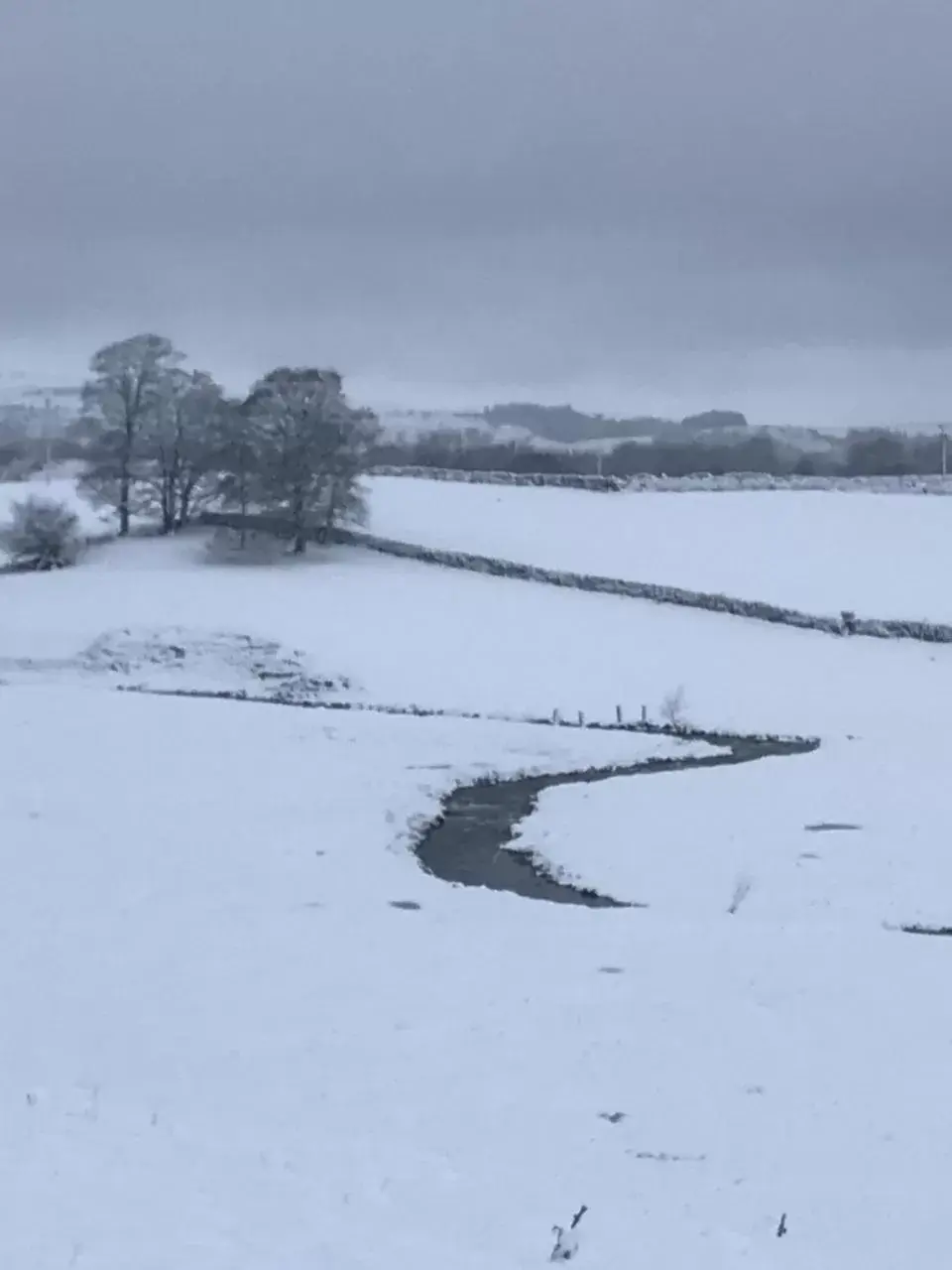 Natural landscape, Winter in Craiglands Bed and Breakfast, Grassington