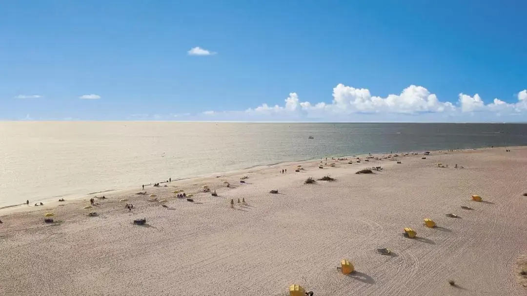 Beach in The Sands of Treasure Island
