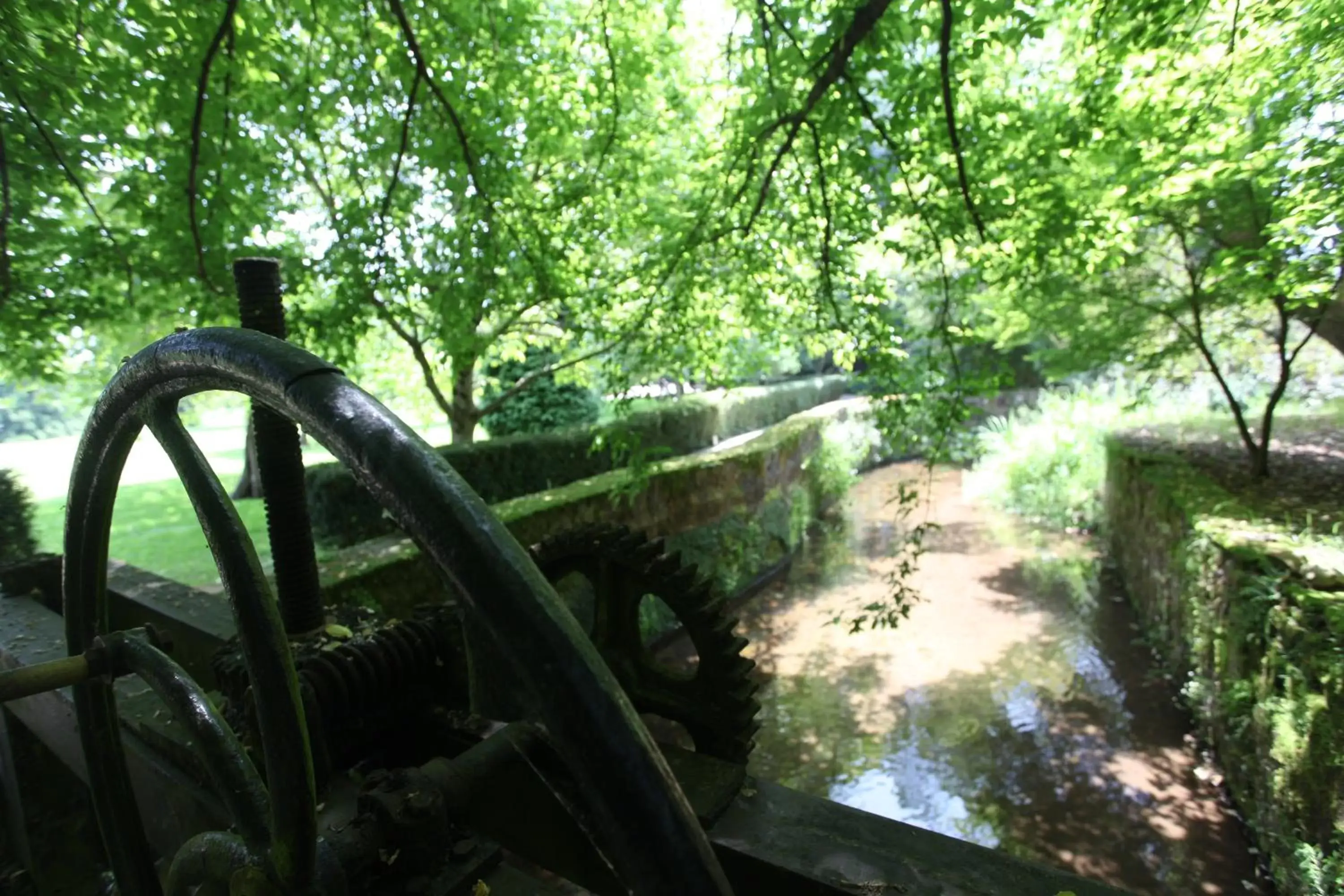 Garden in Jardin de Carrejo