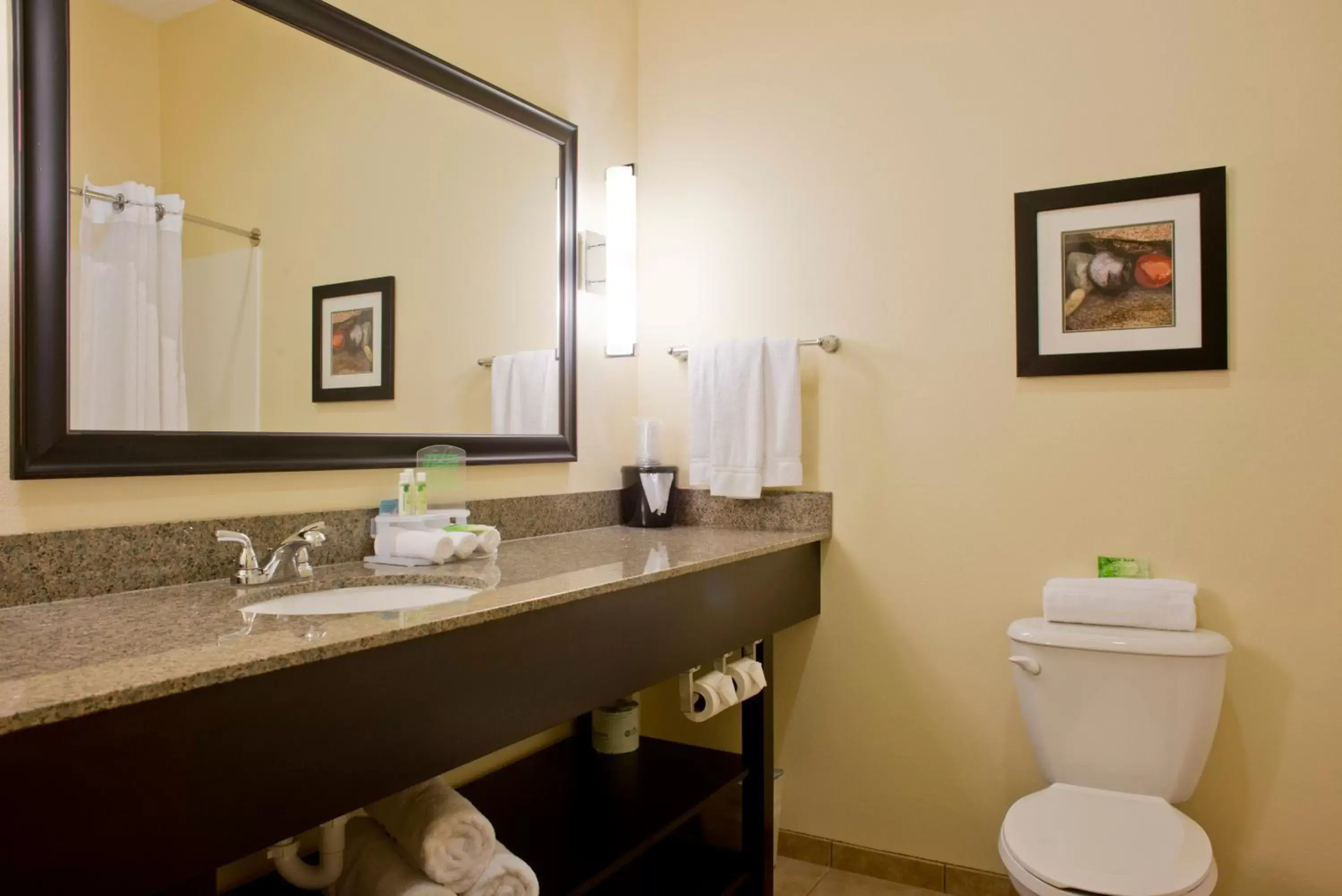 Bathroom in Holiday Inn Express Hotel & Suites Prattville South, an IHG Hotel