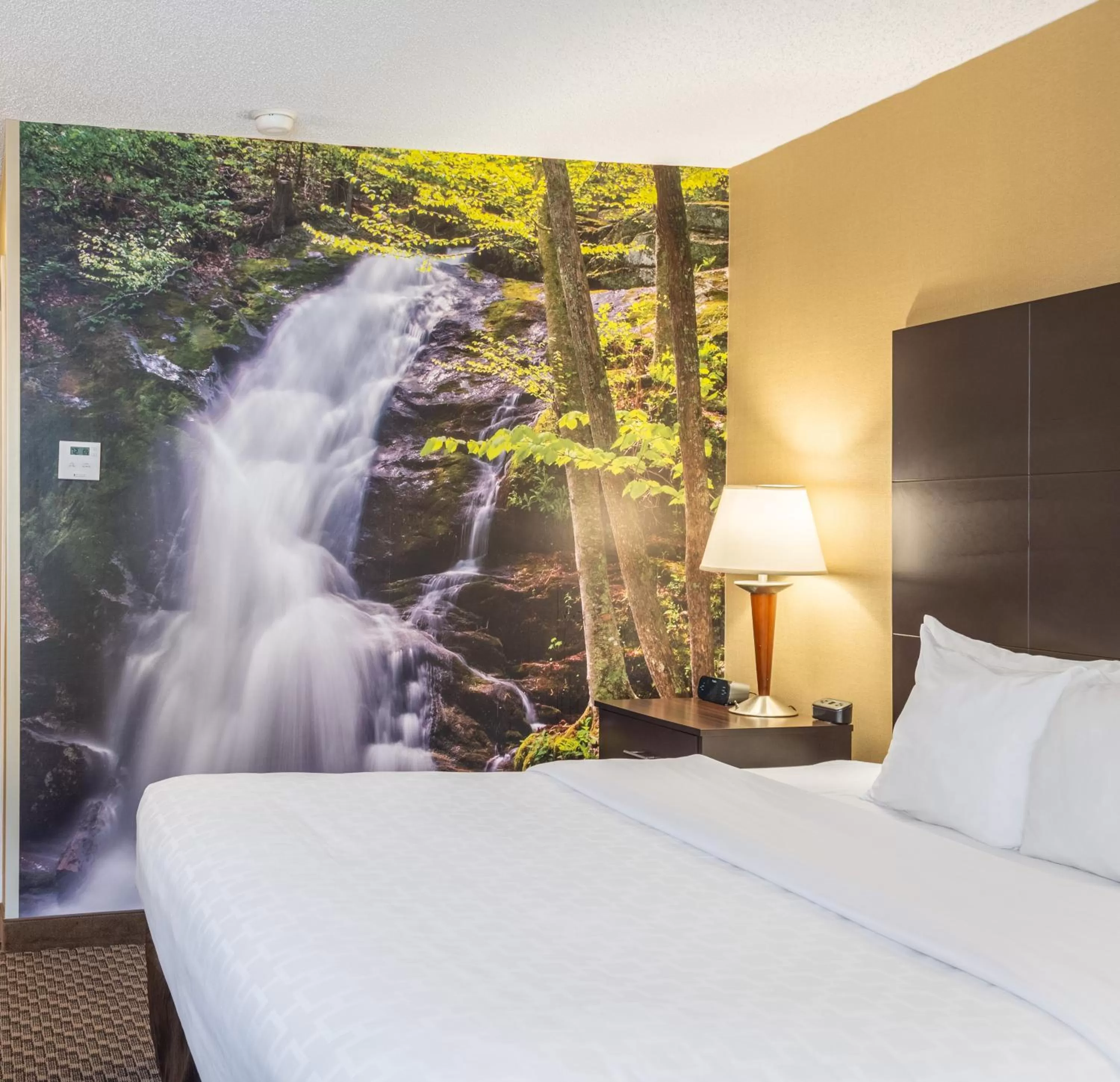 Bed in Clarion Pointe Harrisonburg