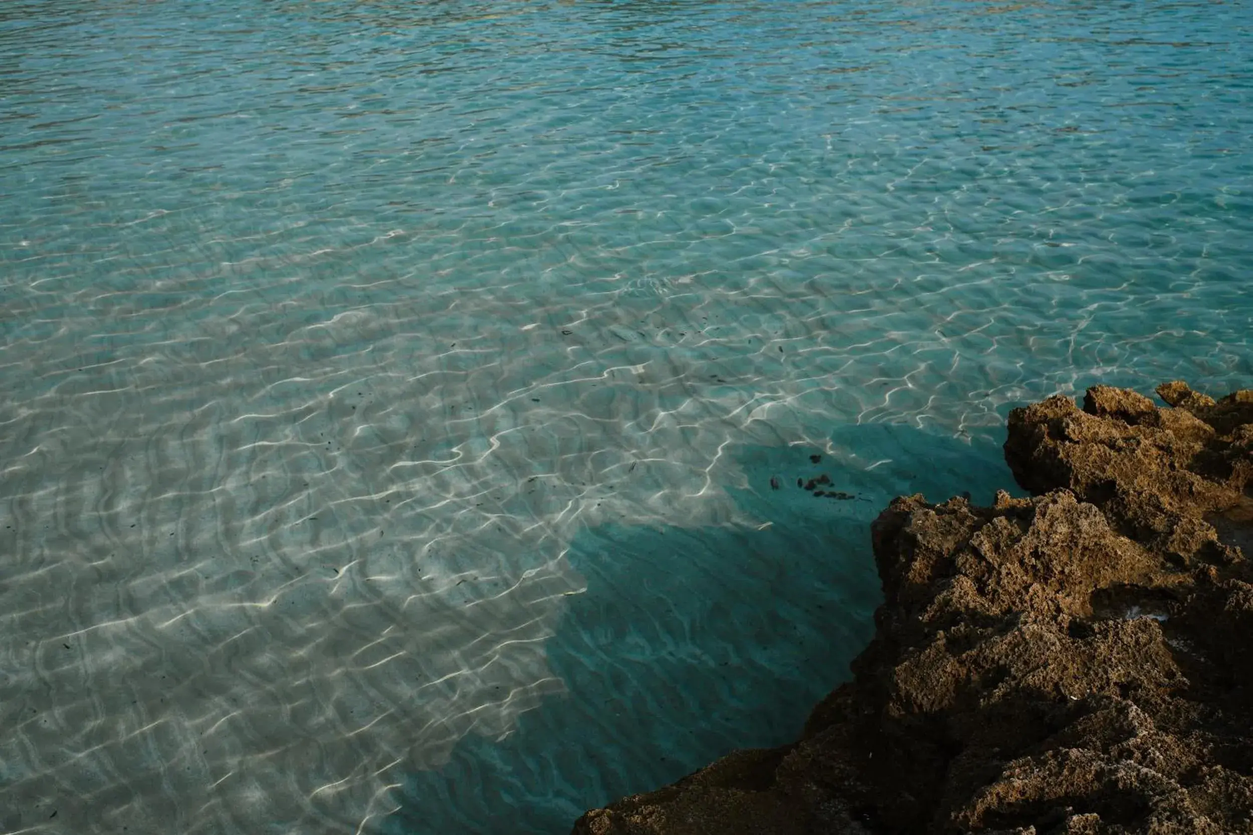 Beach in Prinsotel Mal Pas