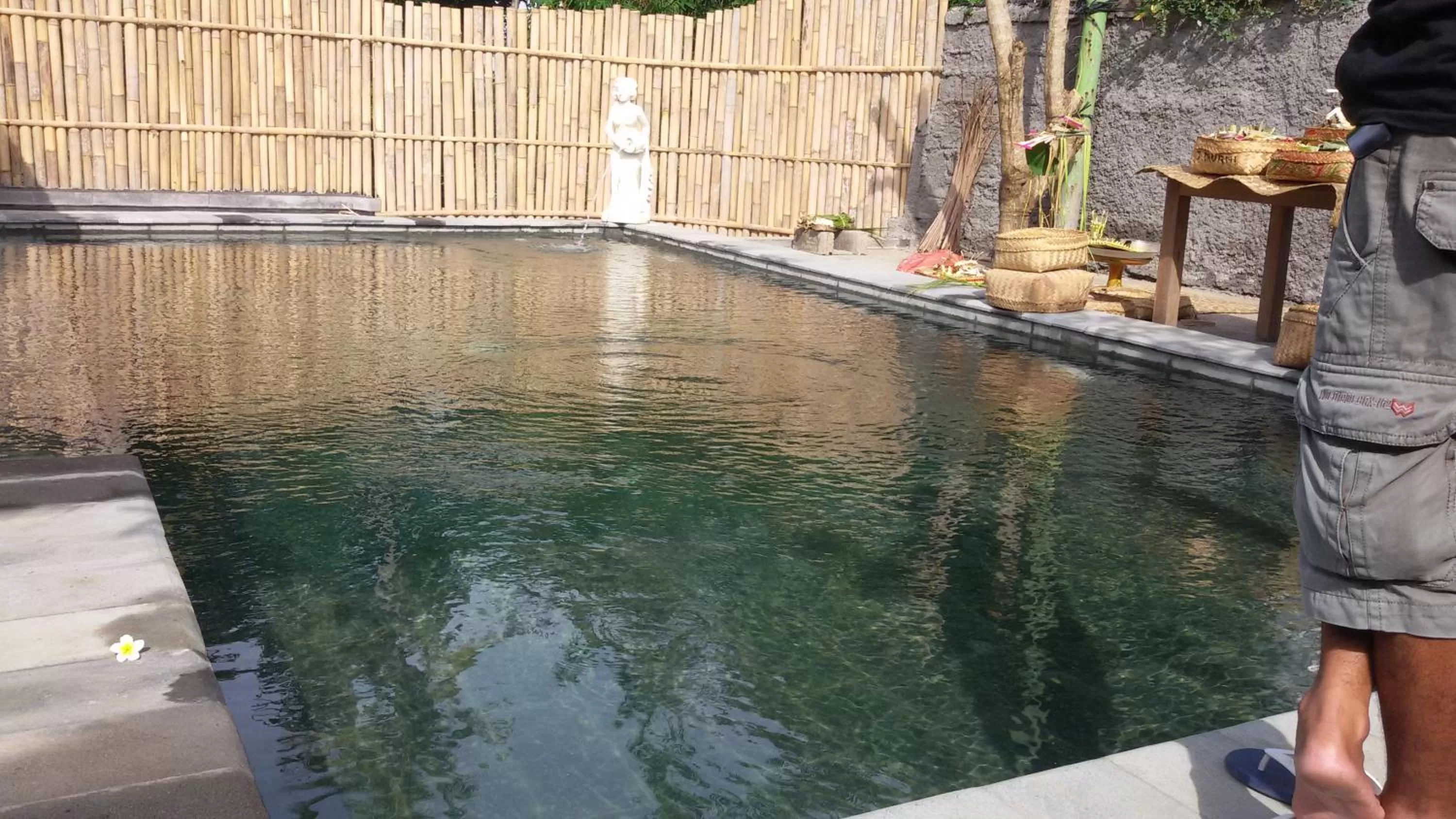 Swimming pool in Suka's House Bed & Breakfast