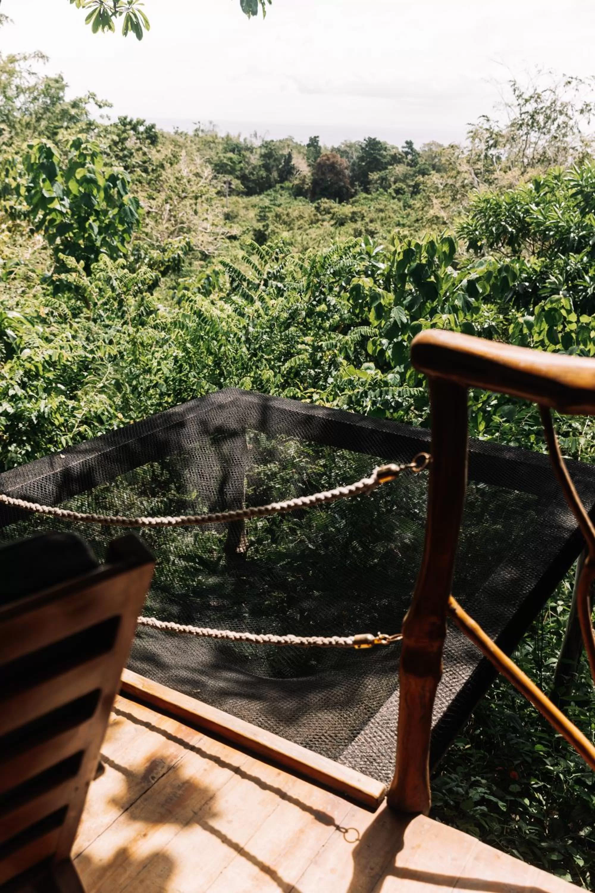 Garden view in Nakabalo Guesthouse & Restaurant