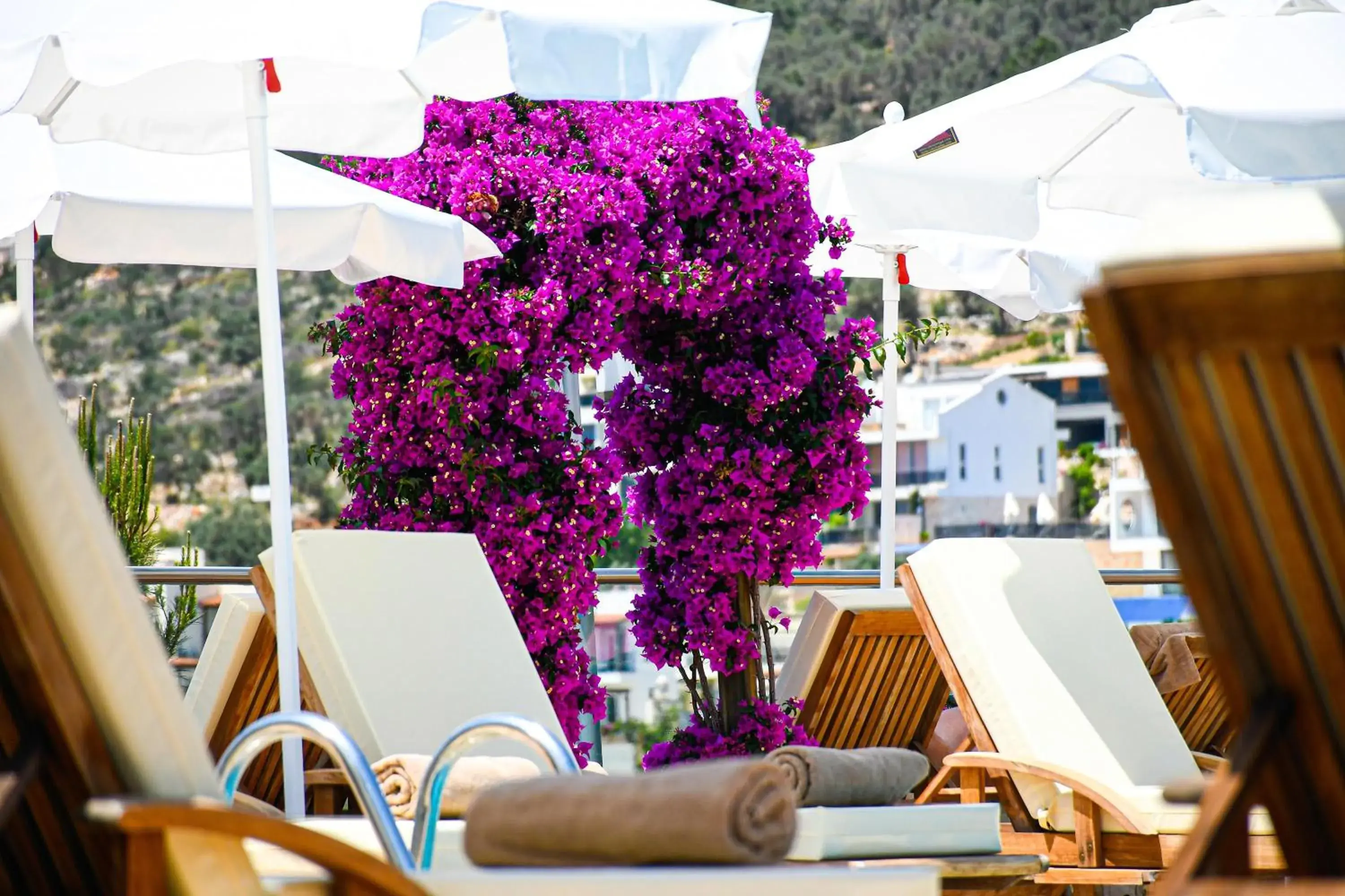 sunbed in Happy Hotel Kalkan sunbed in Happy Hotel Kalkan