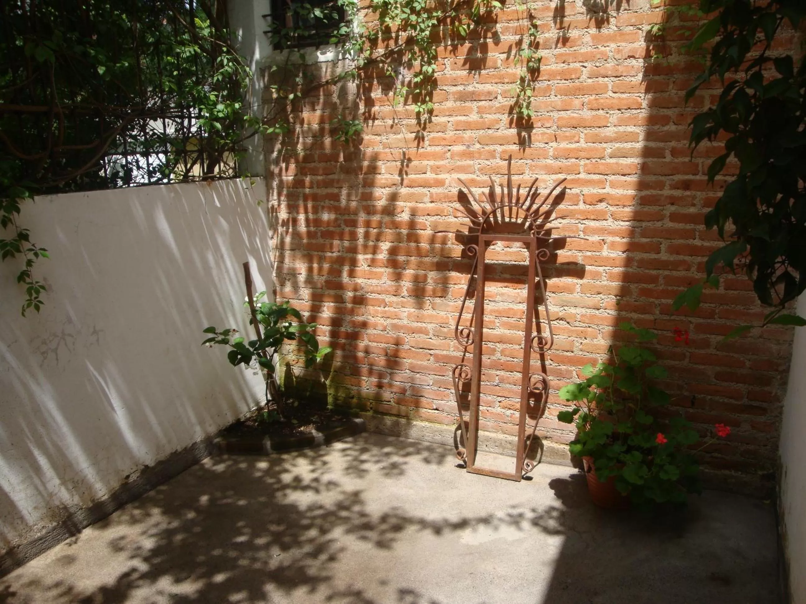 Patio in Hotel Las Marias