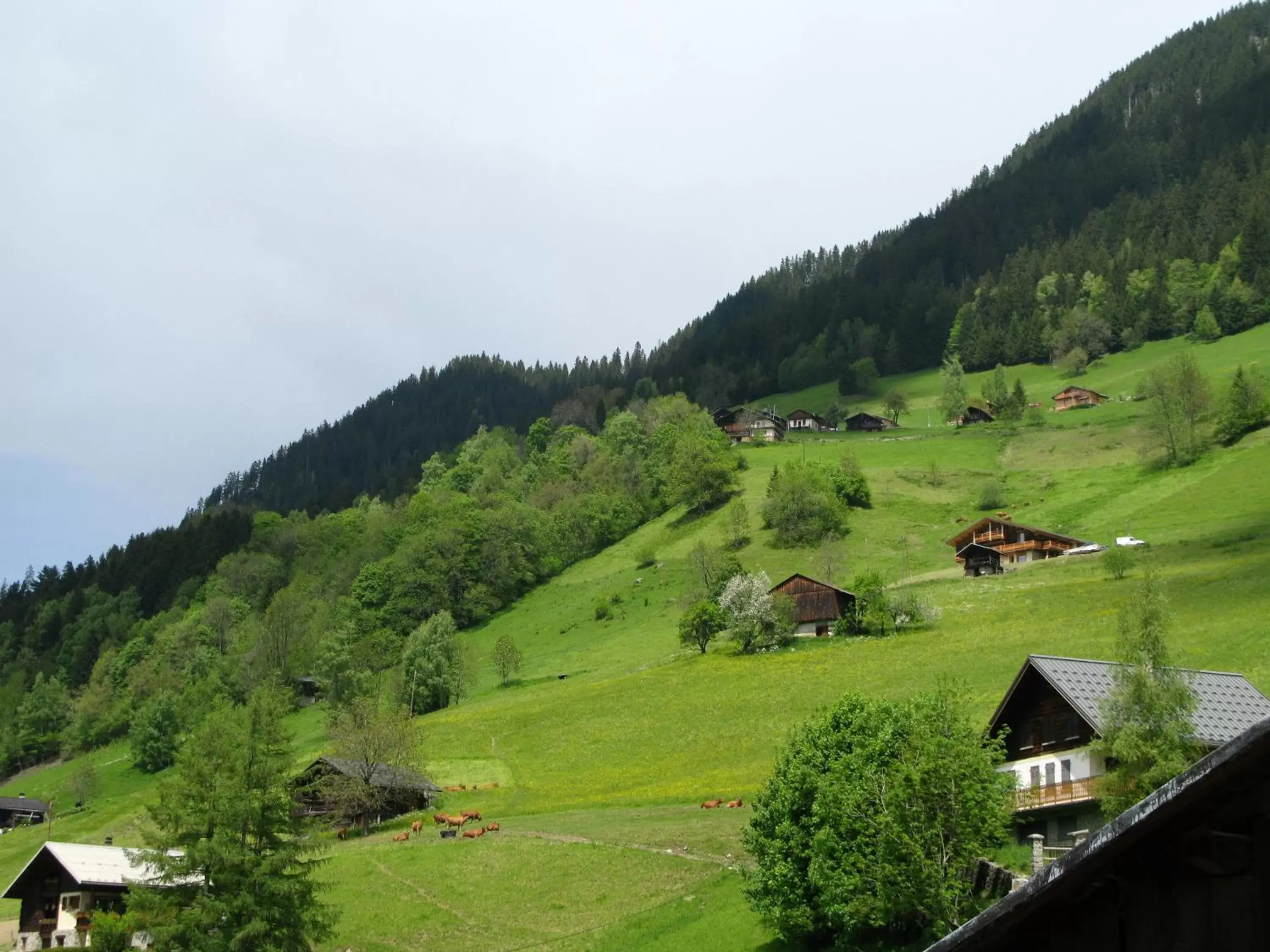 Mountain view in Hôtel Viallet